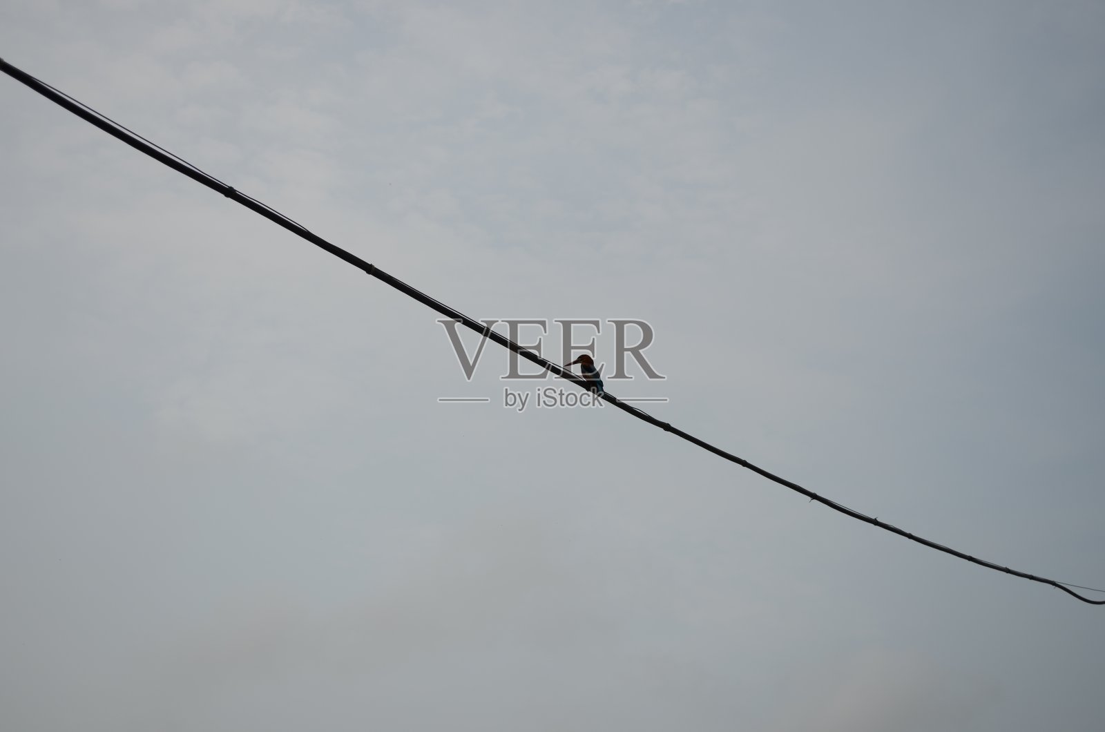 一只翠鸟坐在有云背景的电线上。轮廓。照片摄影图片