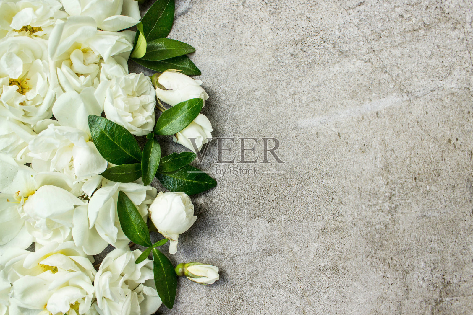 时髦的玫瑰平躺。白色玫瑰边框上柔和的灰色背景与文字空间。母亲节快乐，鲜花贺卡模型。国际妇女日。情人节。照片摄影图片