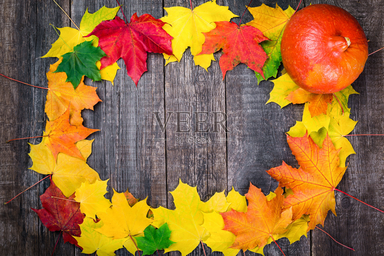 南瓜在枫叶背景照片摄影图片