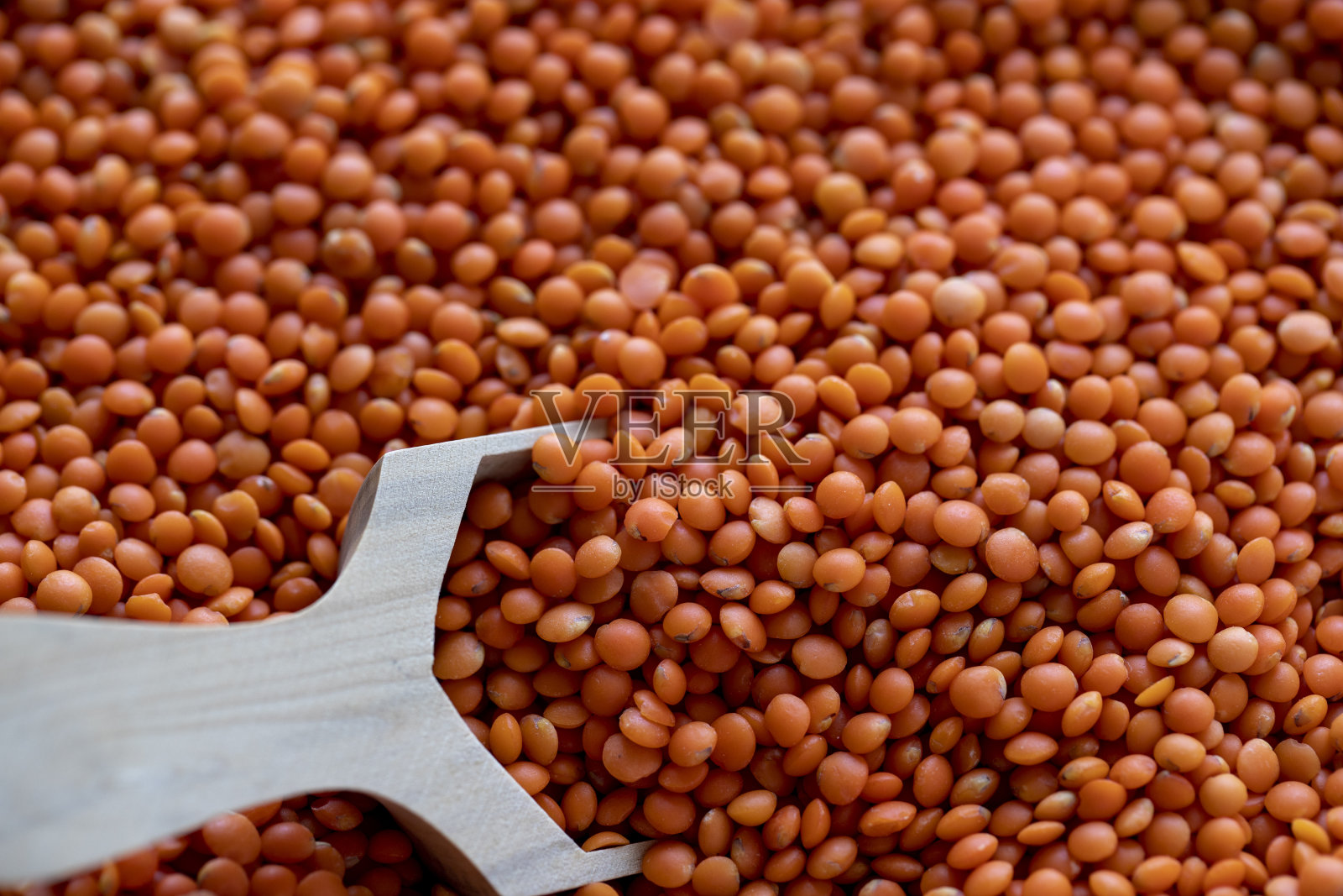 红色小扁豆照片摄影图片