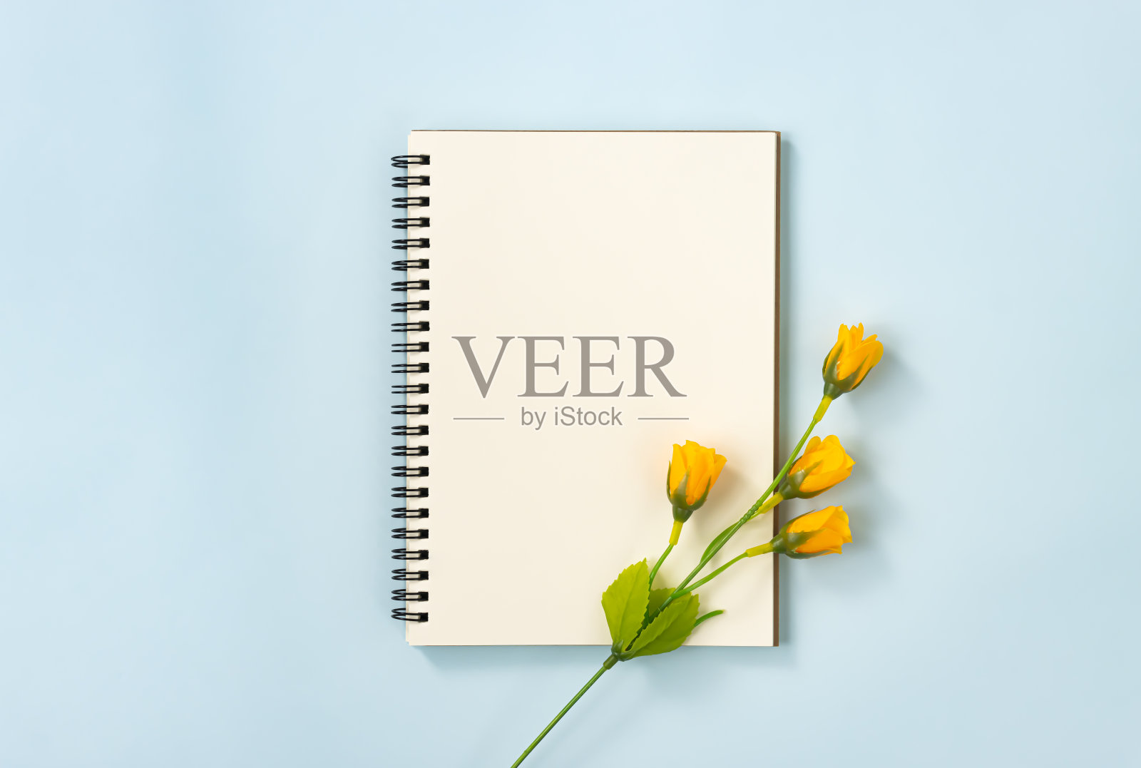 螺旋笔记本和4朵橙色花在右下角的粉彩极简主义背景照片摄影图片