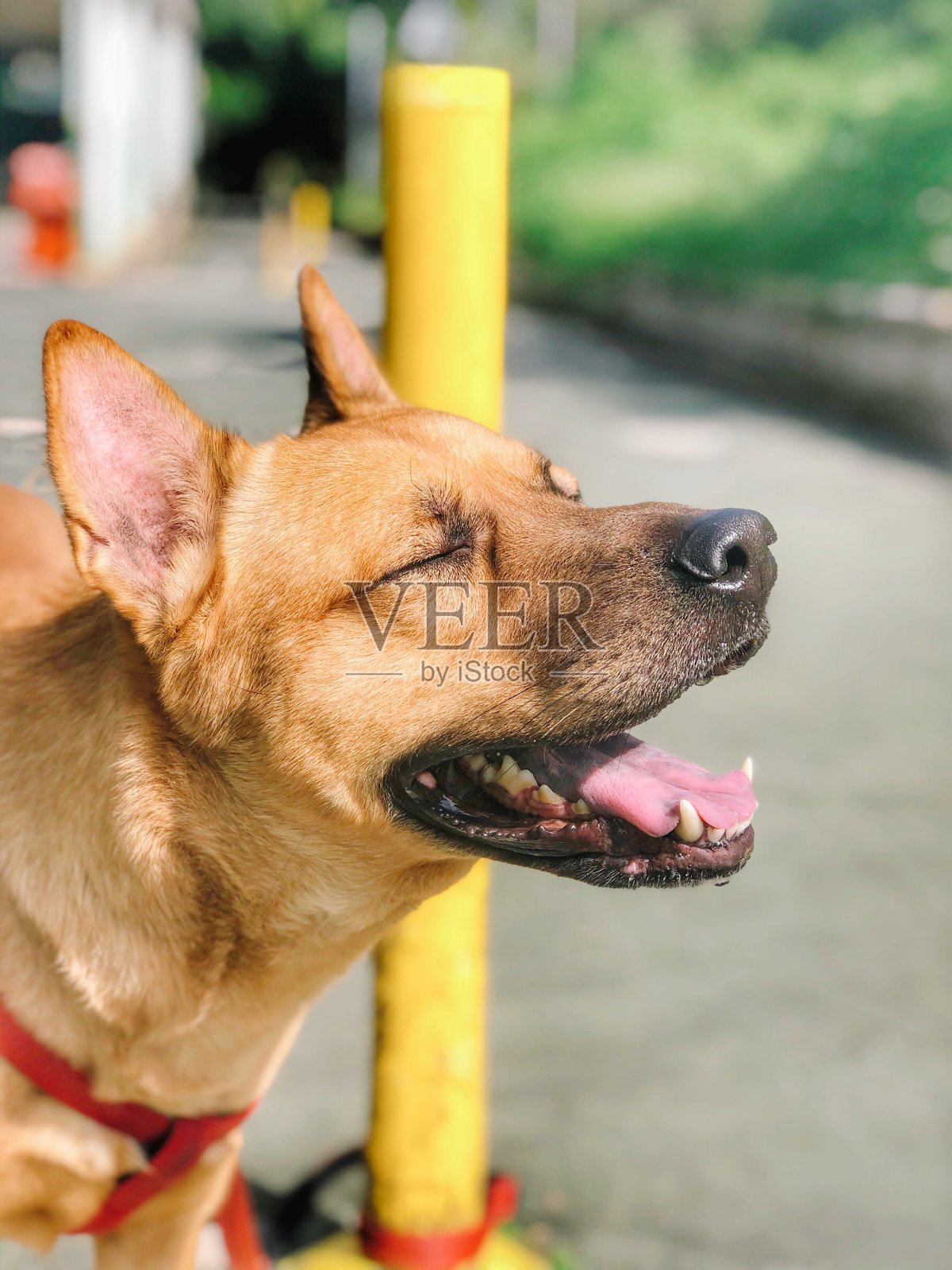 空气，阳光，我。照片摄影图片