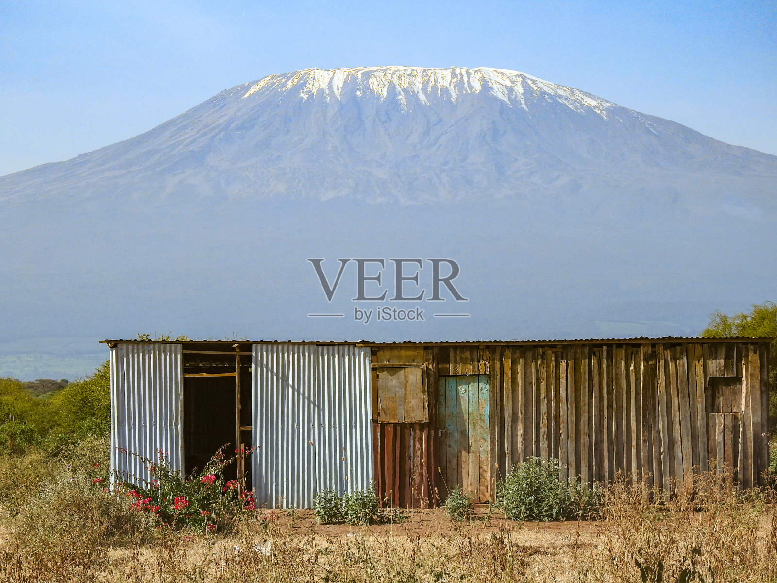 乞力马扎罗的背景照片摄影图片