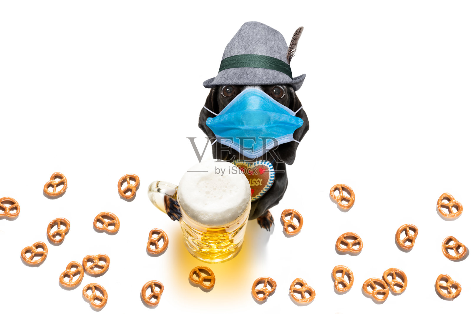 巴伐利亚啤酒腊肠狗照片摄影图片