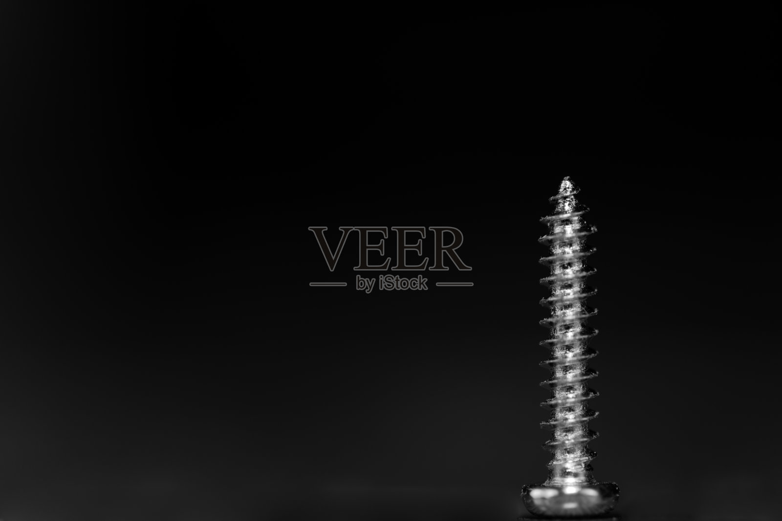 钢木螺丝立在它的头上照片摄影图片