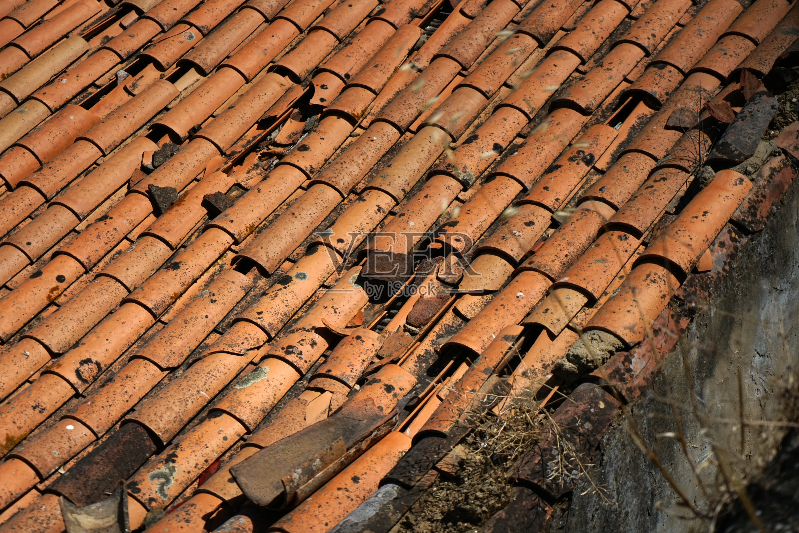 夏天用自然光拍摄的废弃地方照片摄影图片