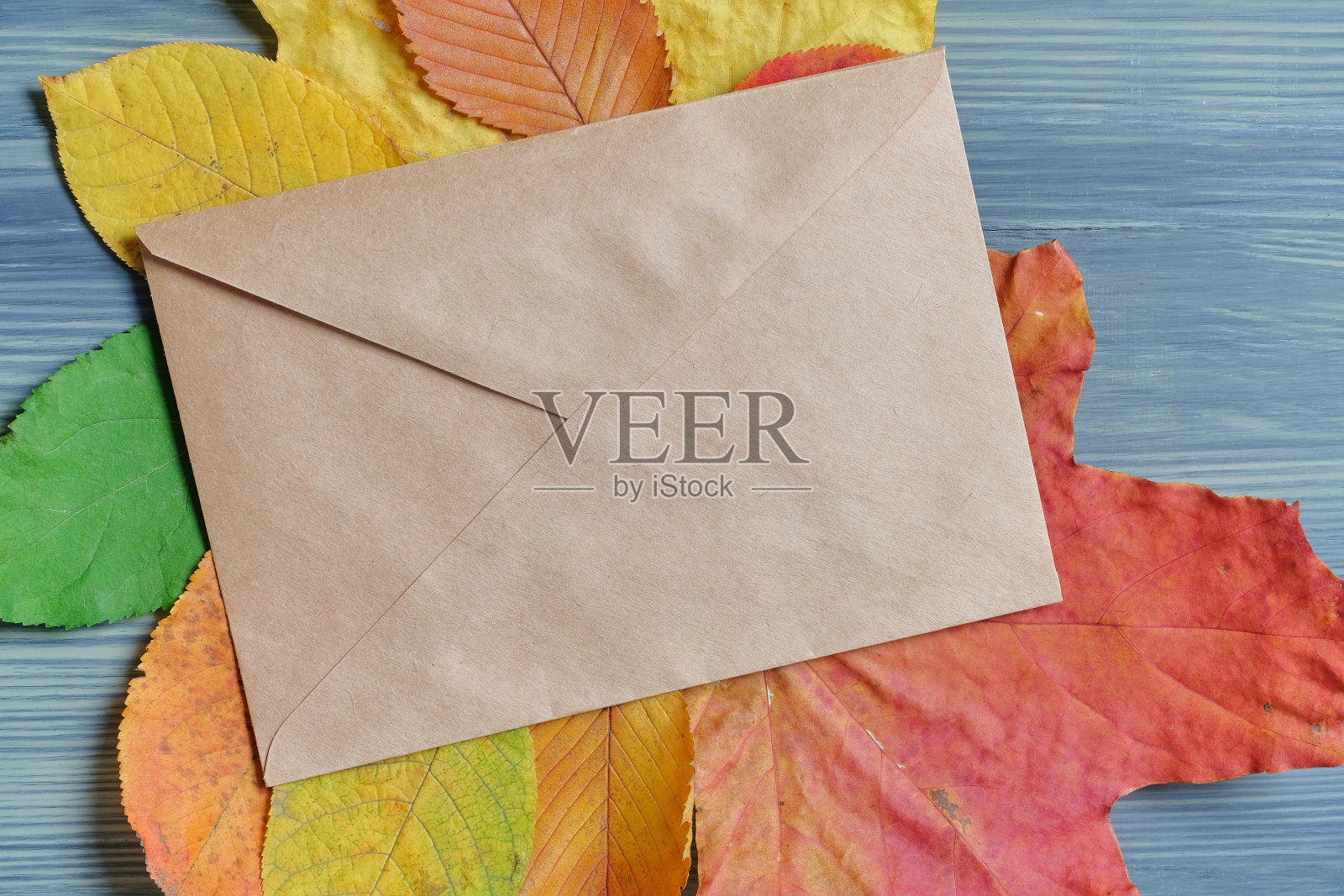 秋季概念与工艺信封上的干树叶照片摄影图片