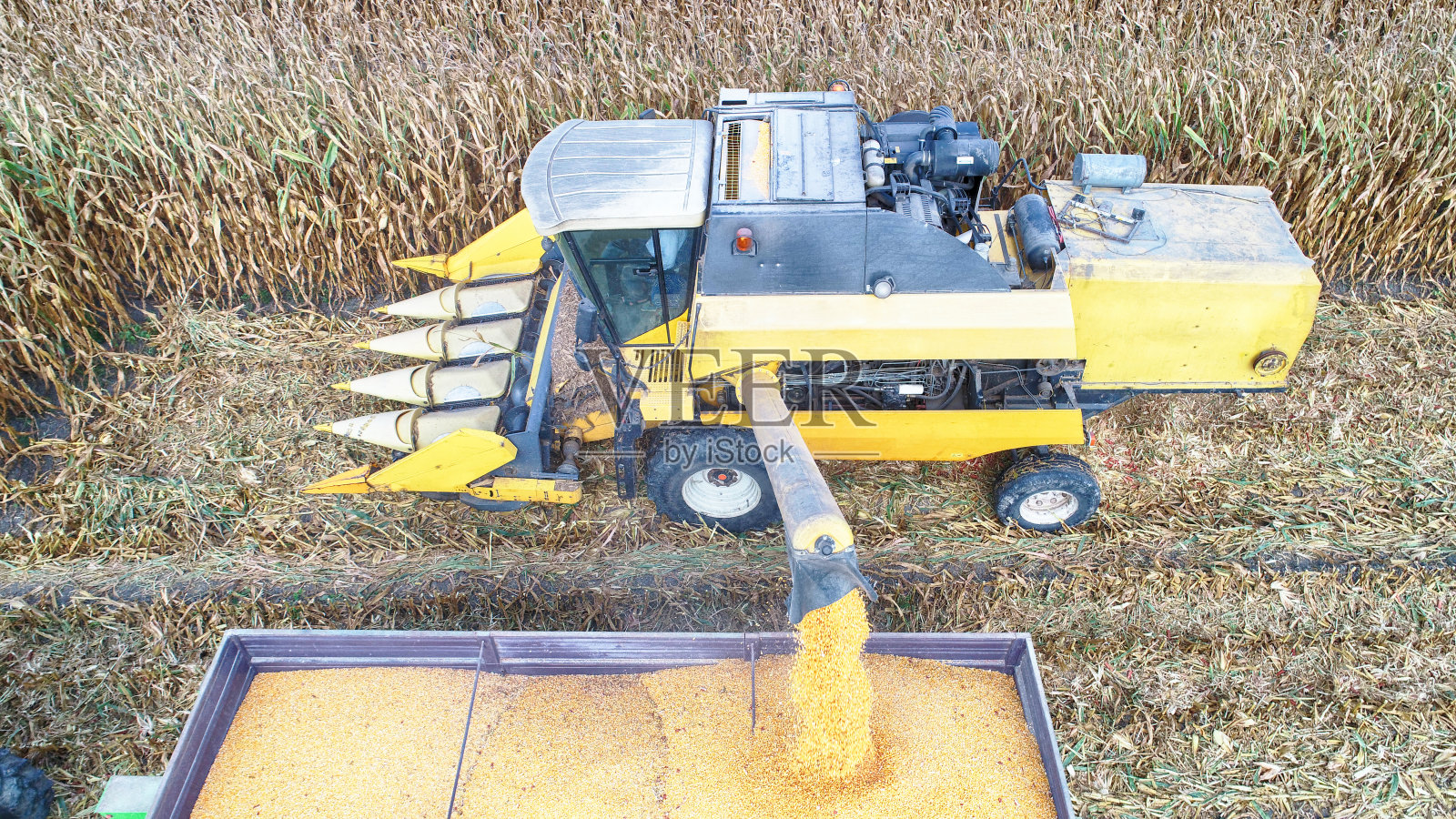 玉米田在收获期间的鸟瞰图照片摄影图片