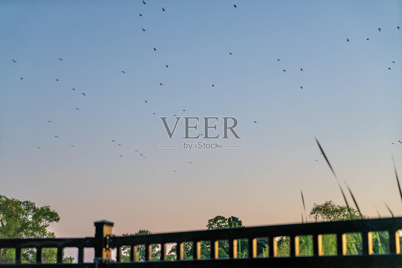 加拿大阿贾克斯扶轮公园黄昏时的达芬南径及达芬溪照片摄影图片