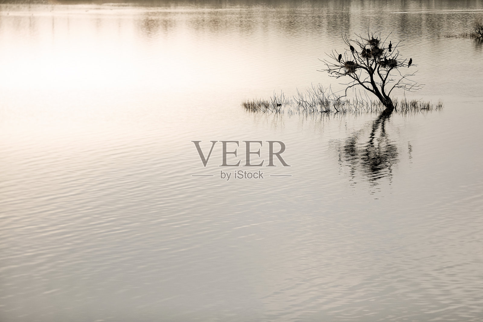 河边的风景照片摄影图片