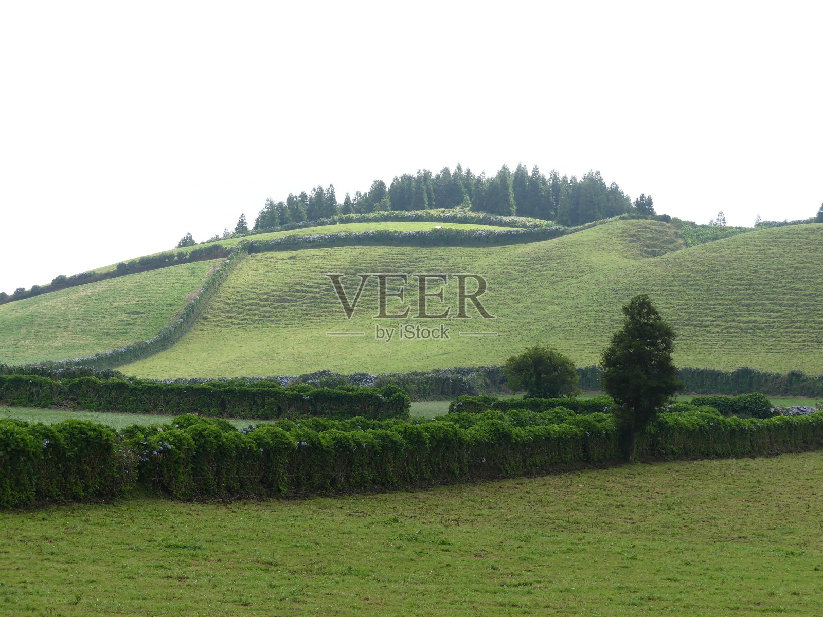 Landascaped山照片摄影图片