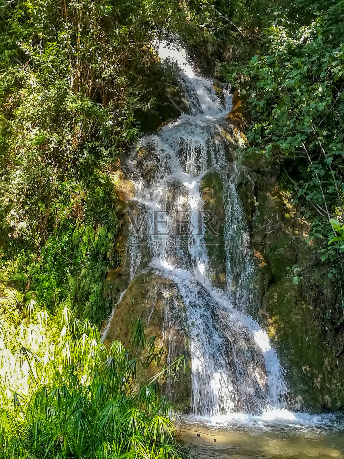 Viver村的La Floresta的自然景观中的小瀑布照片摄影图片