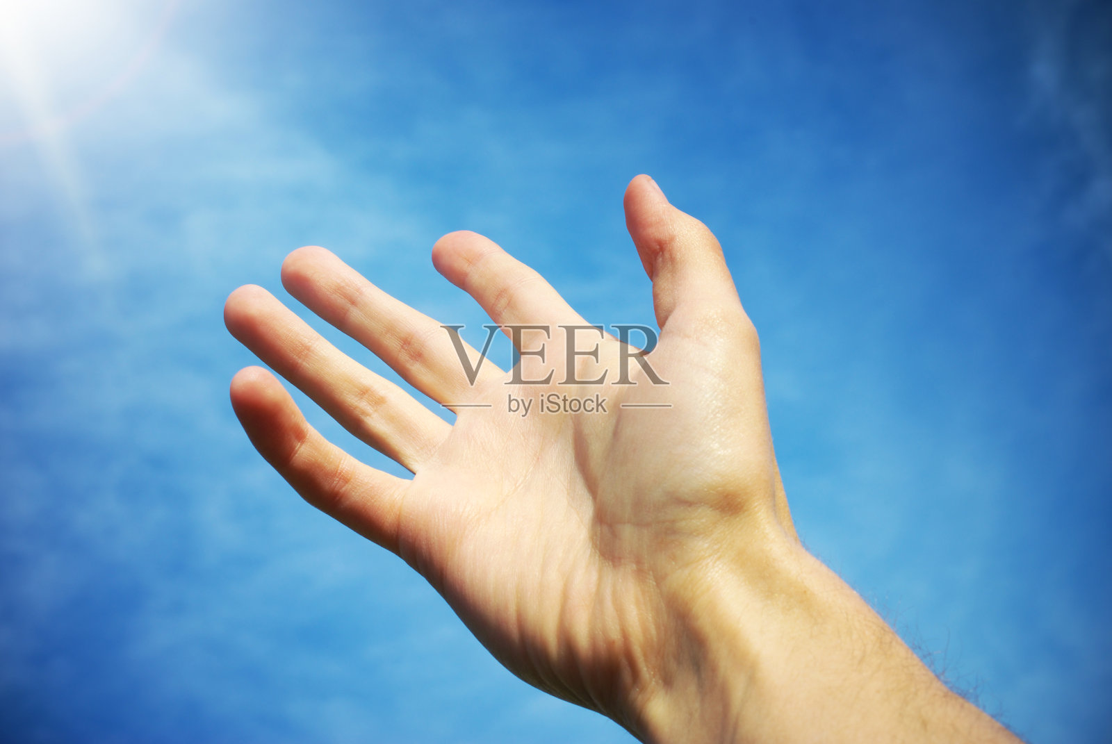 棕榈天空照片摄影图片