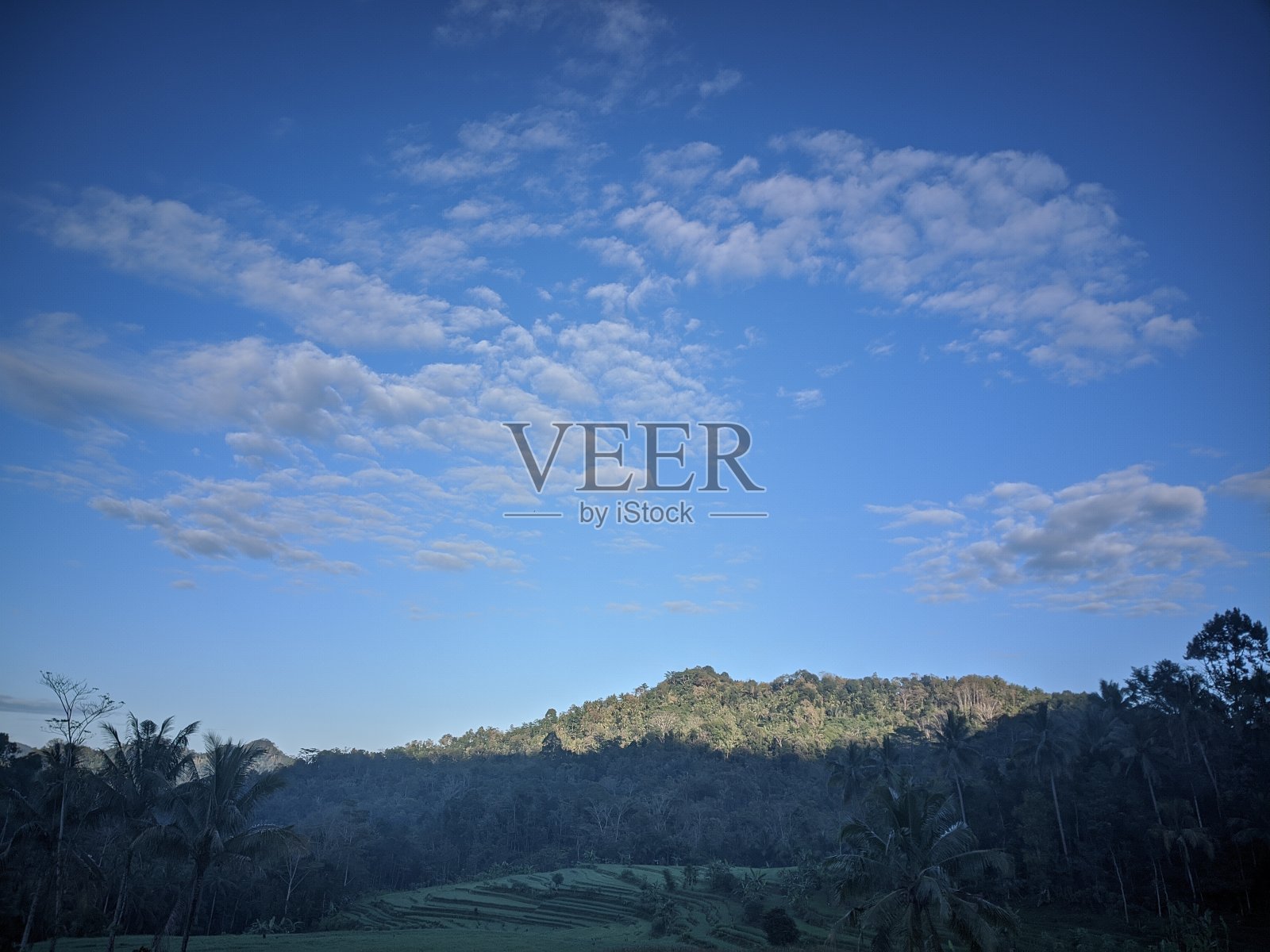 稻田里的云朵照片摄影图片