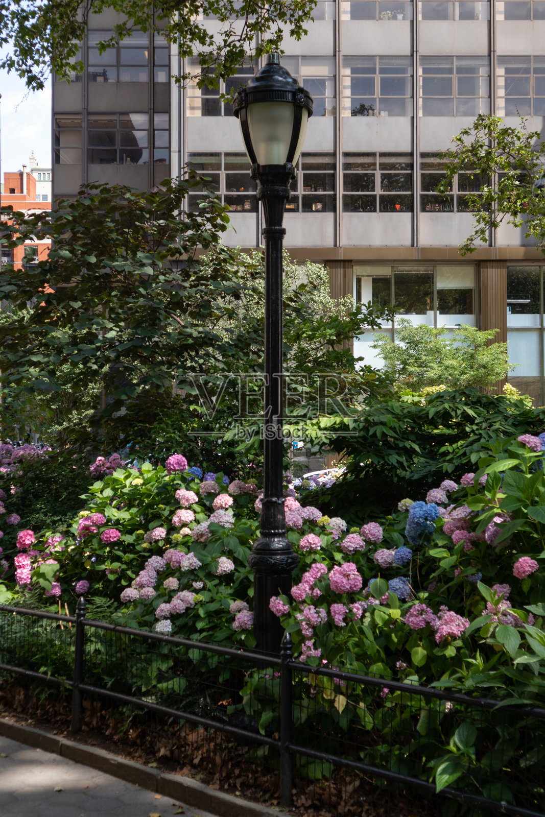 麦迪逊广场公园街道灯与五颜六色的鲜花在夏天在纽约市照片摄影图片