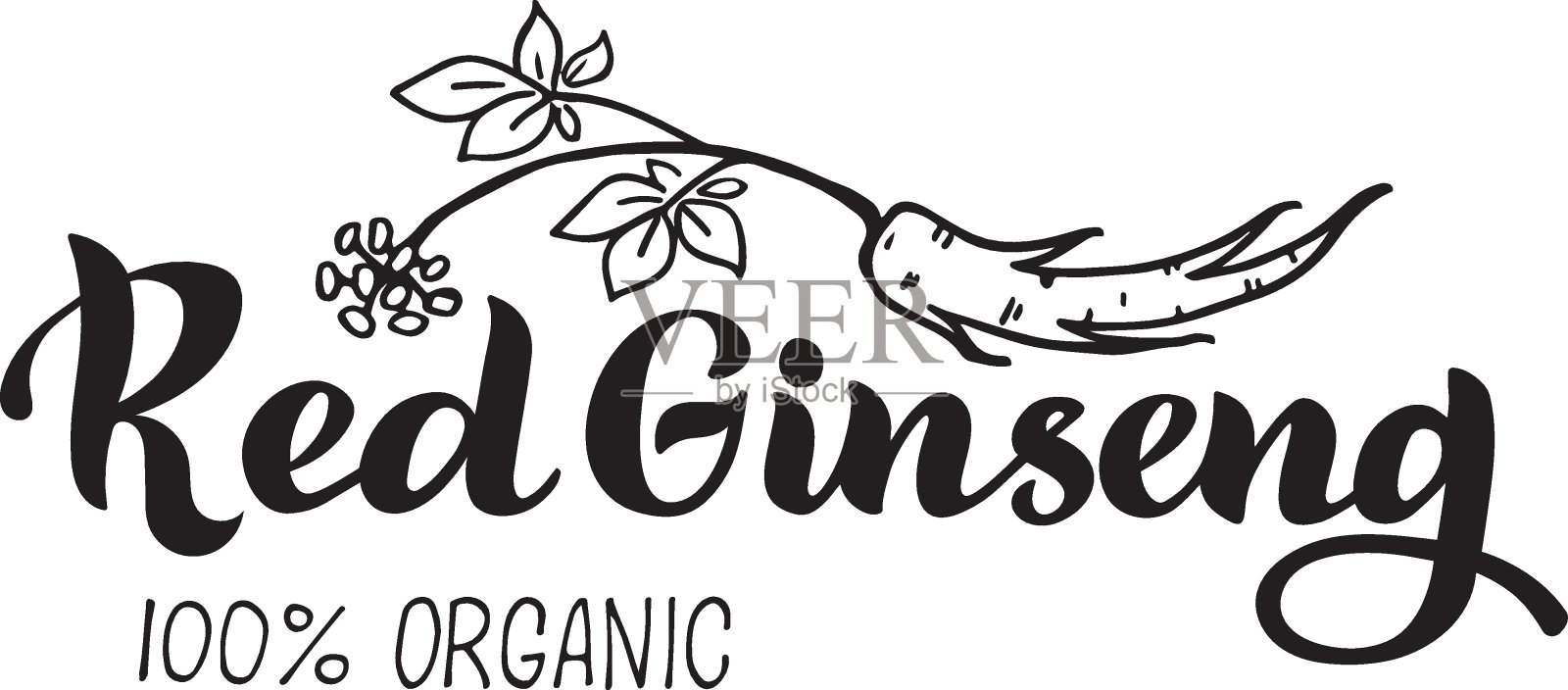 红参有机插画图片素材