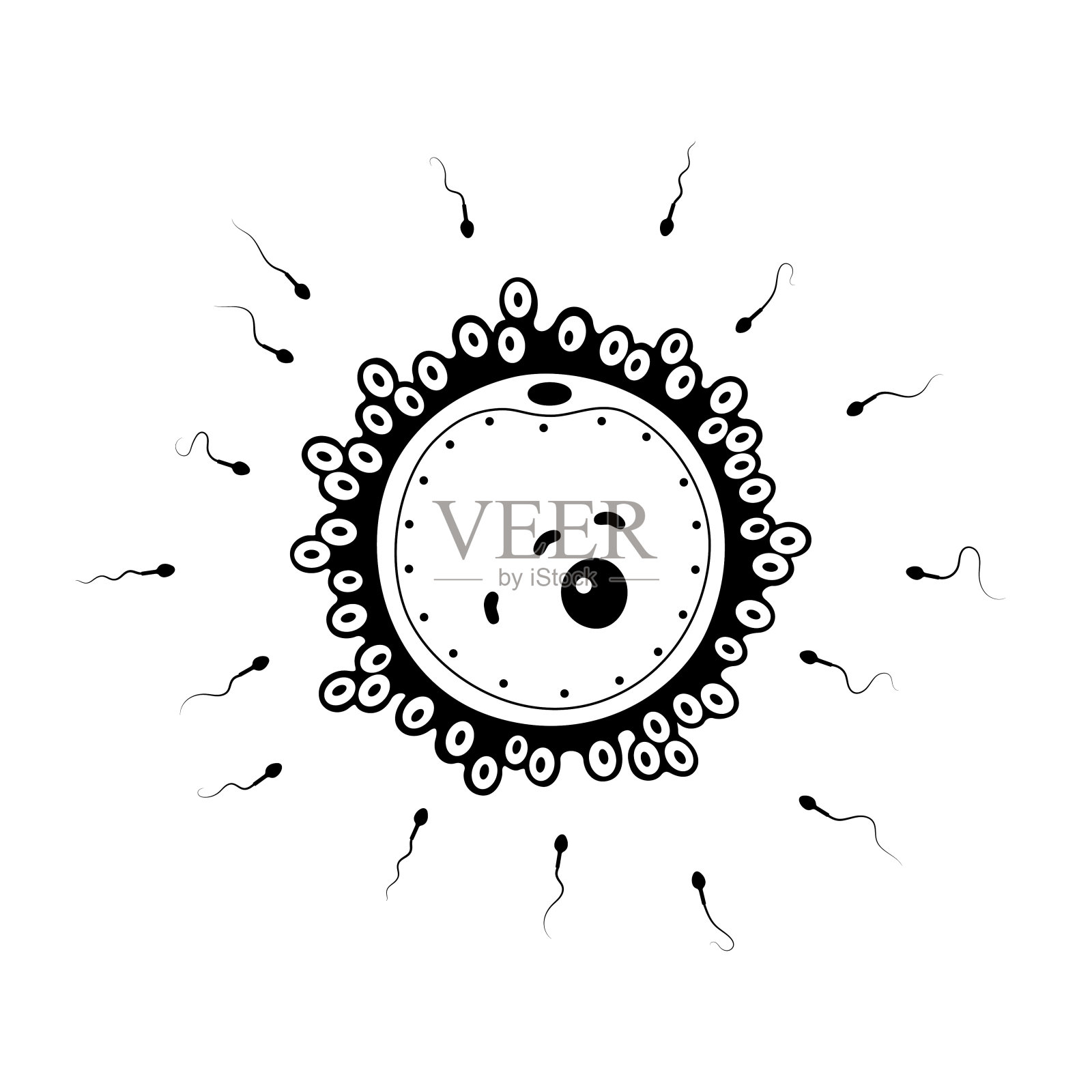 人类的生育能力插画图片素材