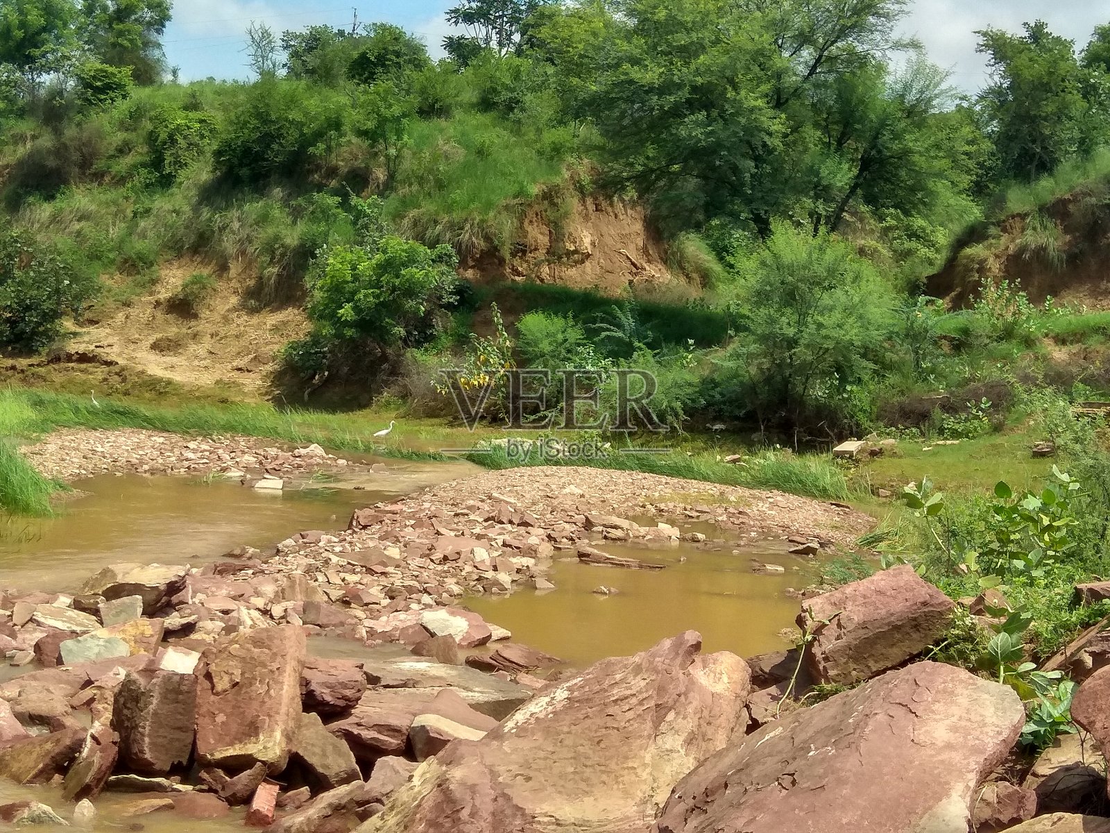 森林的形象照片摄影图片