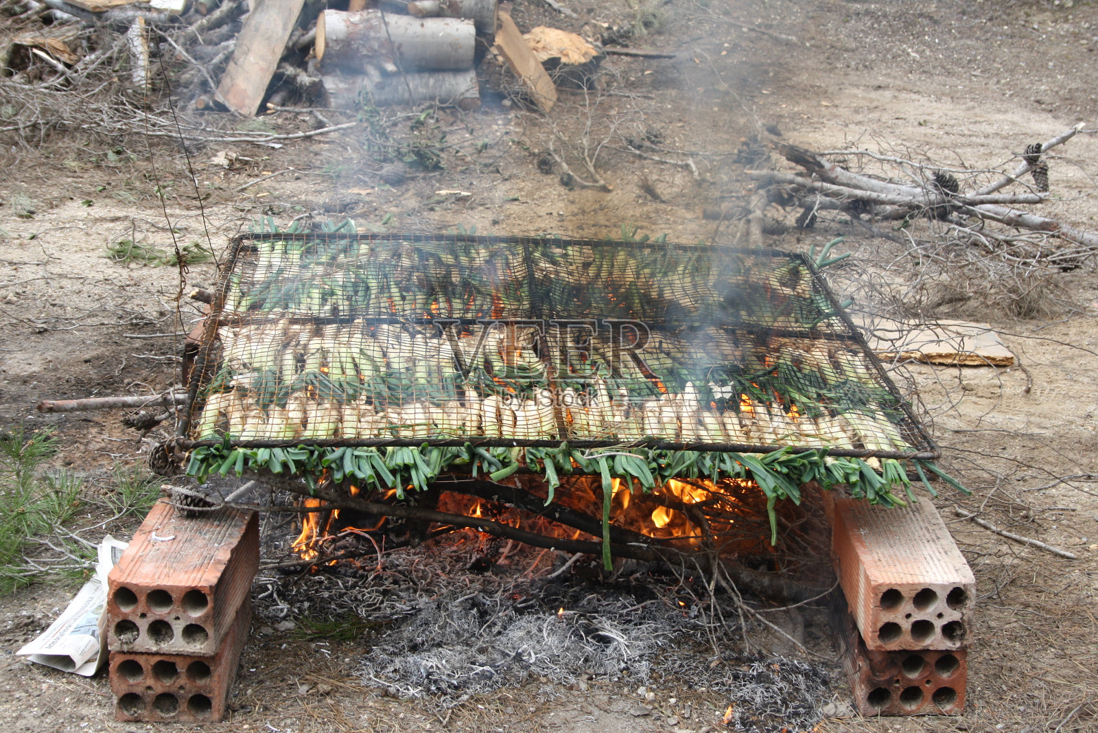 Calçots，典型的加泰罗尼亚甜洋葱，地板烧烤(calçotada)照片摄影图片