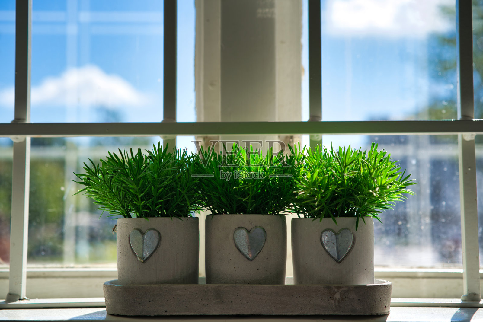 三个种植排在一个明亮的窗户，蓝色的天空背景照片摄影图片