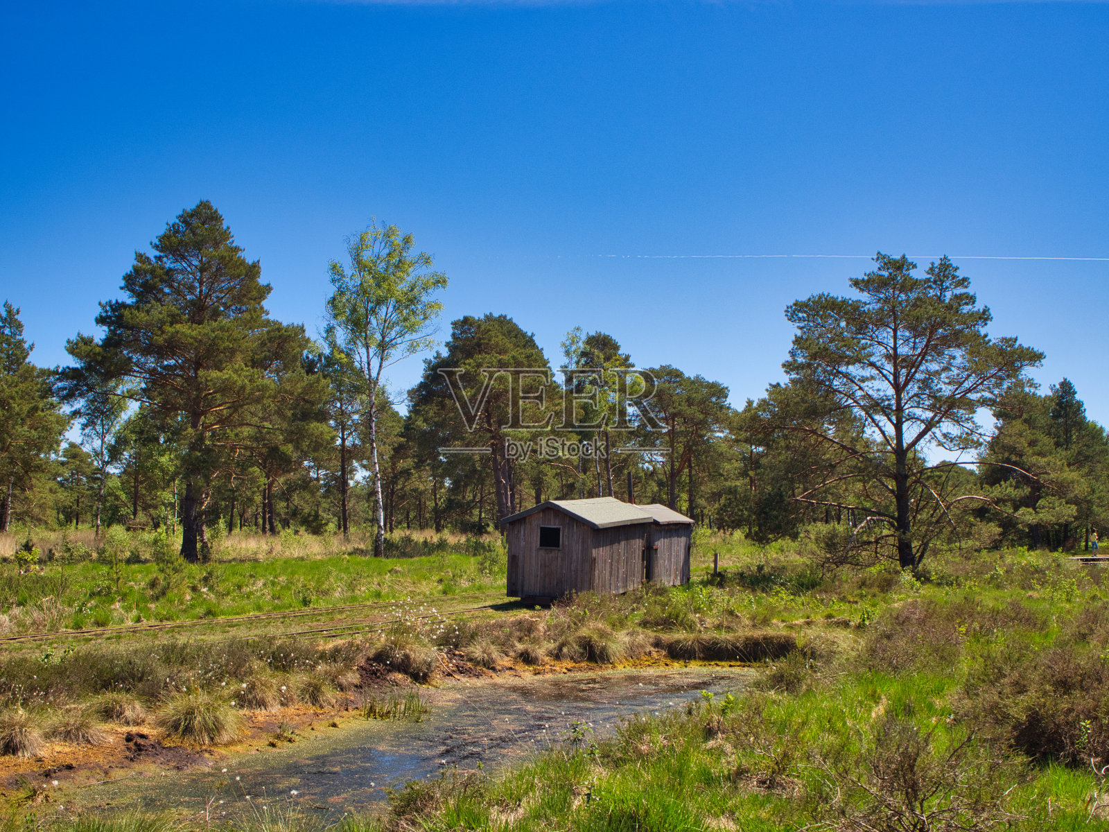 沼泽里的小屋照片摄影图片