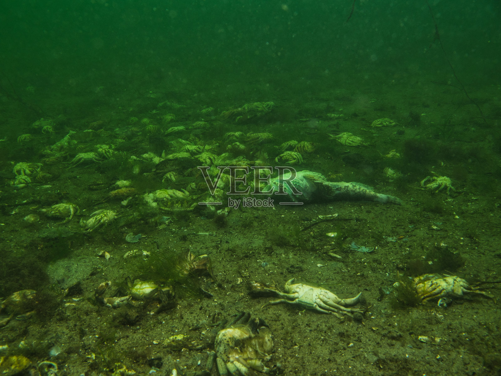 死区照片摄影图片