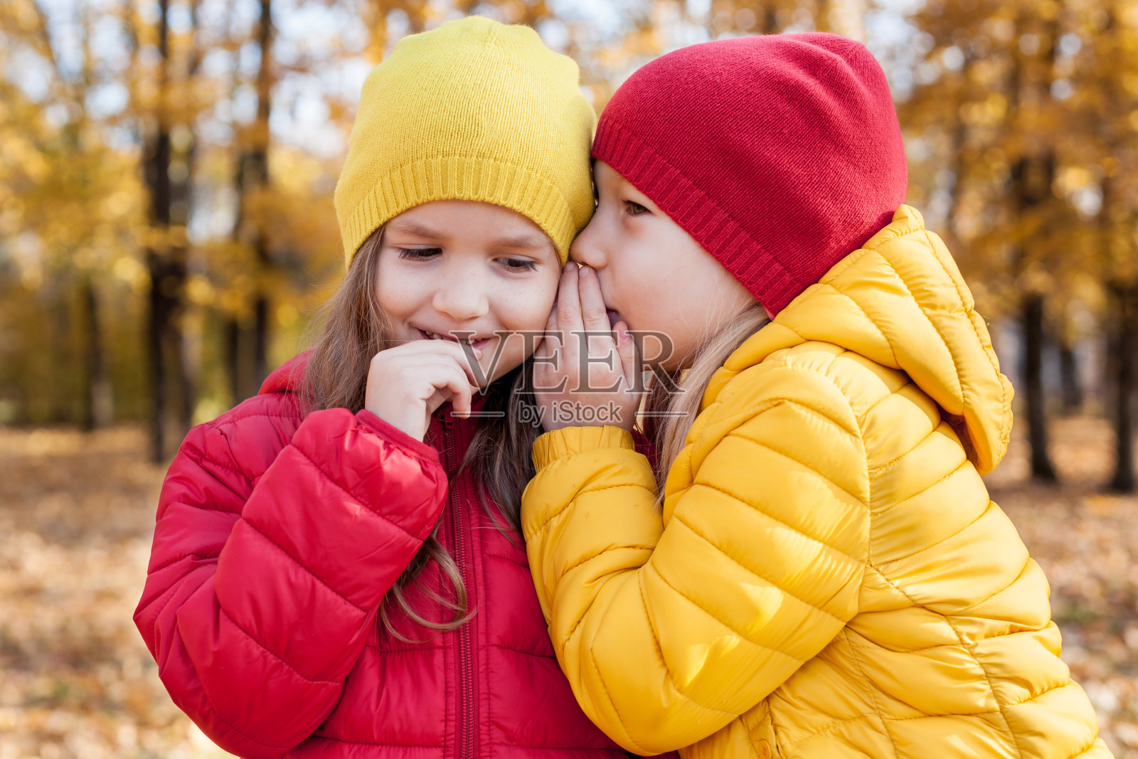 女孩对她的妹妹耳语。孩子们两个可爱的蹒跚学步的女孩朋友在阳光明媚的秋天温暖的一天玩耍。孩子们有乐趣在秋天的户外概念照片摄影图片