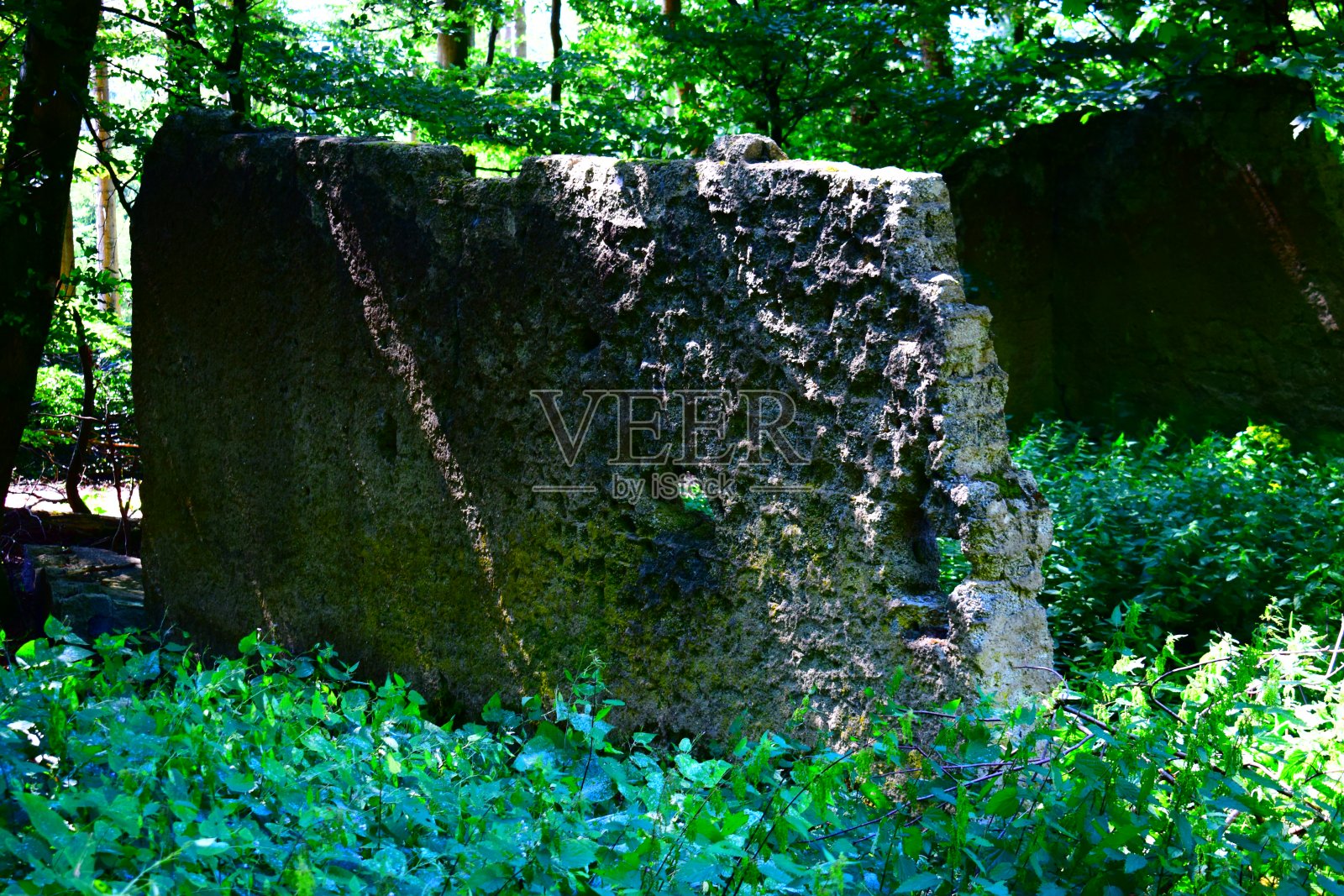 艾菲尔森林的废墟墙照片摄影图片