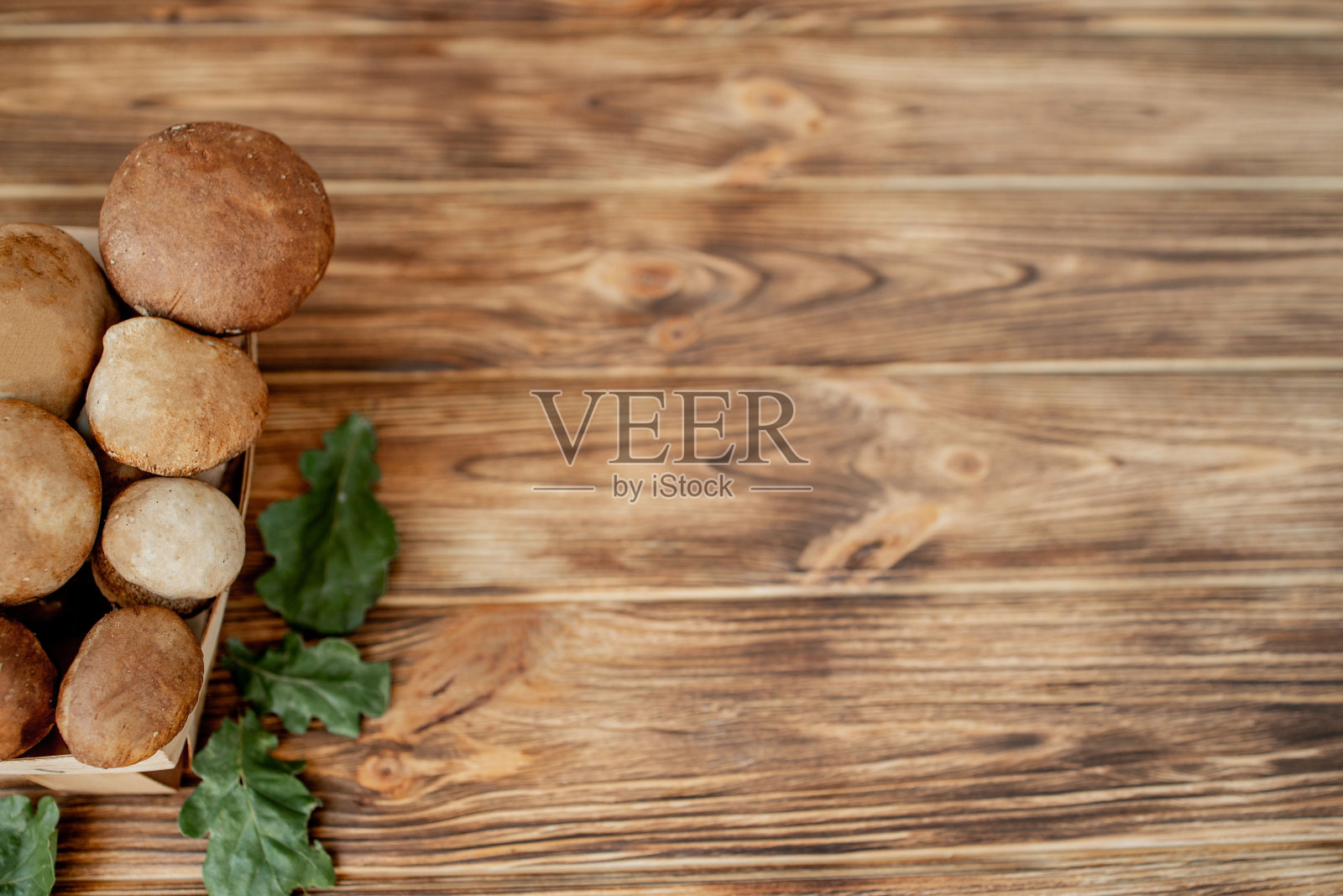 木质背景上的蘑菇牛肝菌。秋天Cep蘑菇。牛肝菌冬虫冬草在木制的背景，近距离上的木材质朴的桌子。烹饪美味的有机蘑菇。美食照片摄影图片