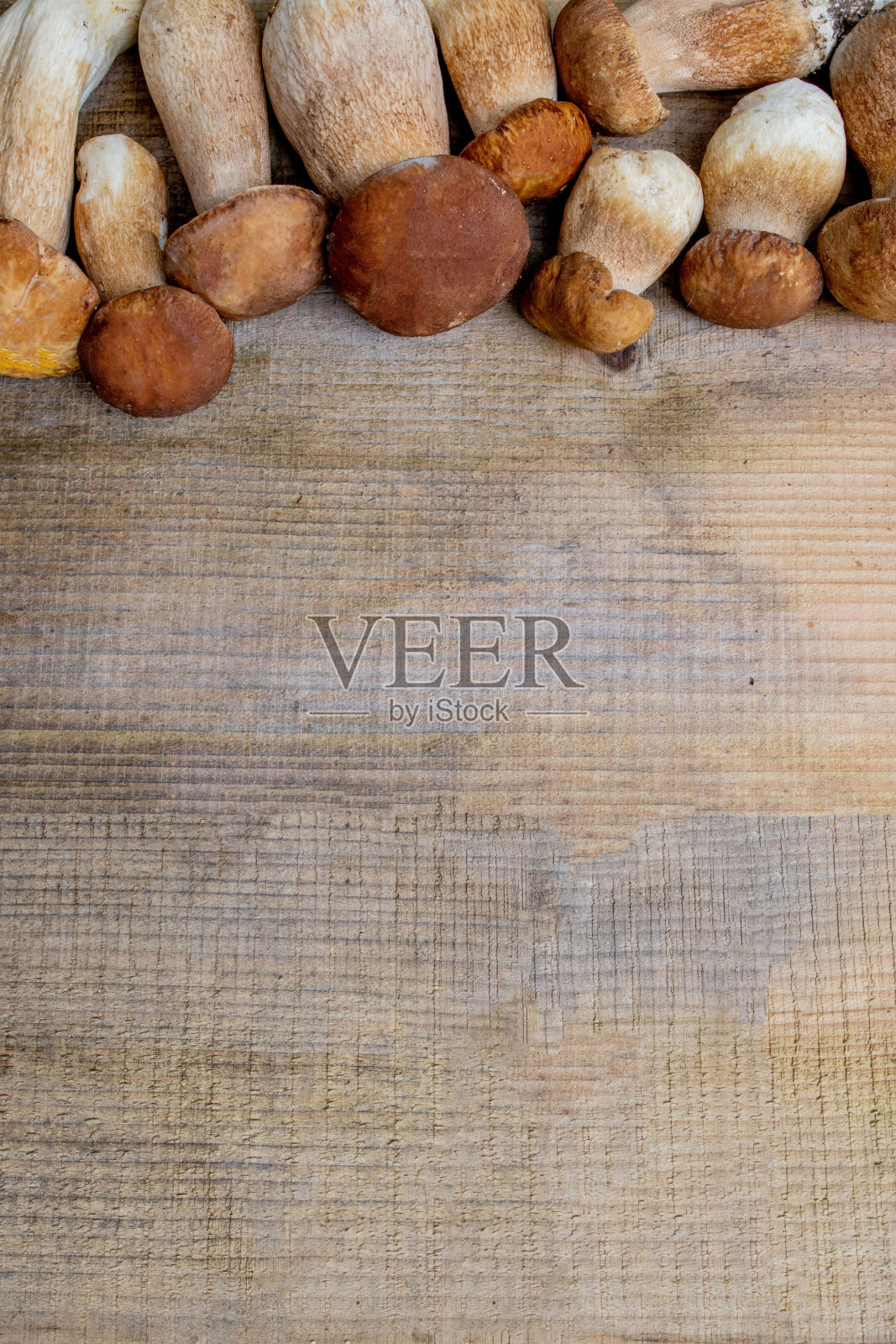 木质背景上的蘑菇牛肝菌。秋天Cep蘑菇。牛肝菌冬虫冬草在木制的背景，近距离上的木材质朴的桌子。烹饪美味的有机蘑菇。美食照片摄影图片