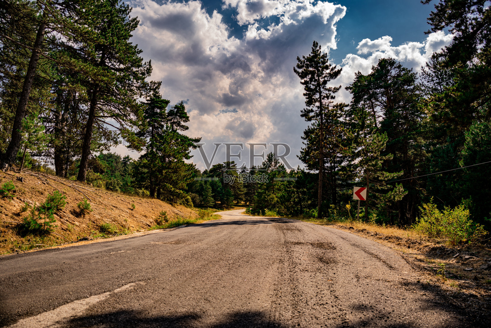 蜿蜒曲折的道路穿过丛林。照片摄影图片