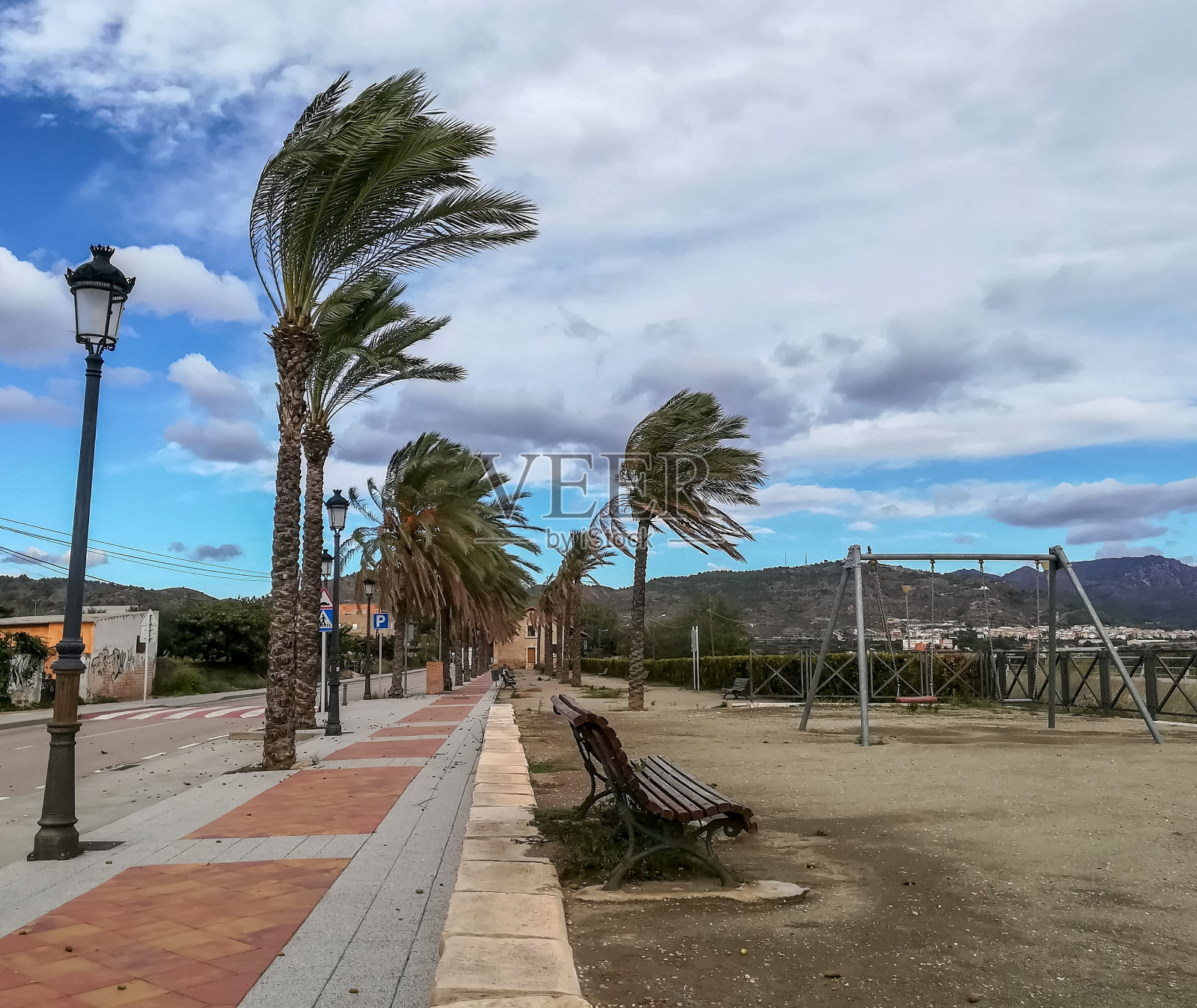 空旷的公园，在一个有风的日子里，棕榈树的叶子倾斜着照片摄影图片