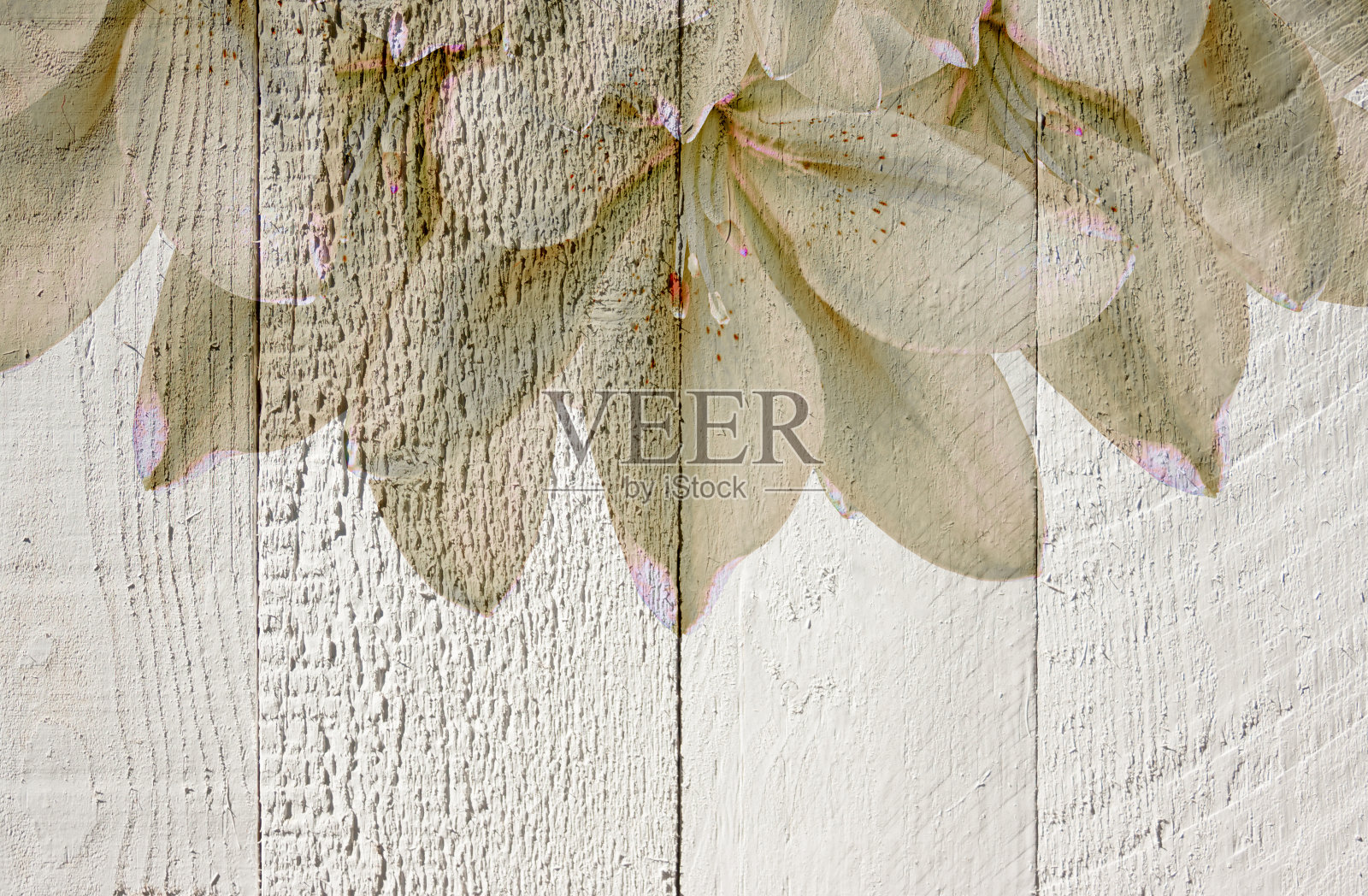 拼贴的灰色百合花在灰色的木制背景与复制空间。花卉设计。双重曝光照片摄影图片