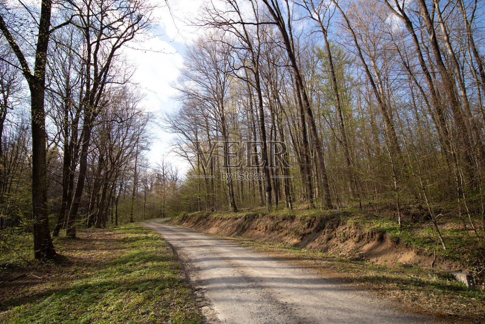 Wiosenny的照片摄影图片