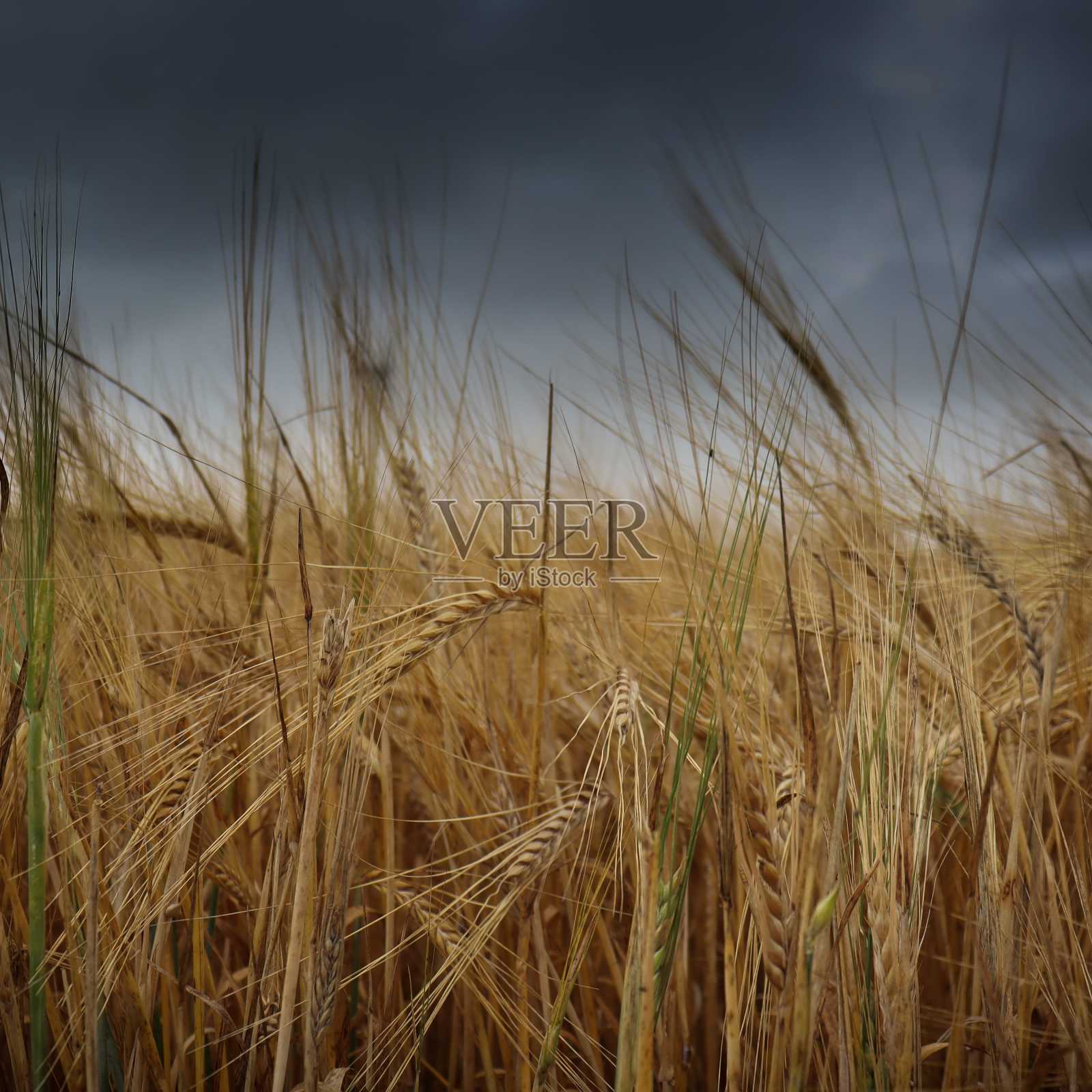 风暴来了照片摄影图片