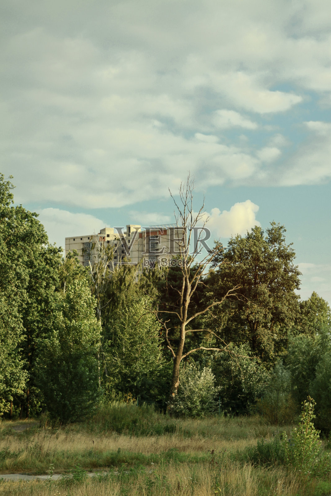 在公园的水边建房子。城市景观与美丽的森林和树木。库存图片背景。照片摄影图片