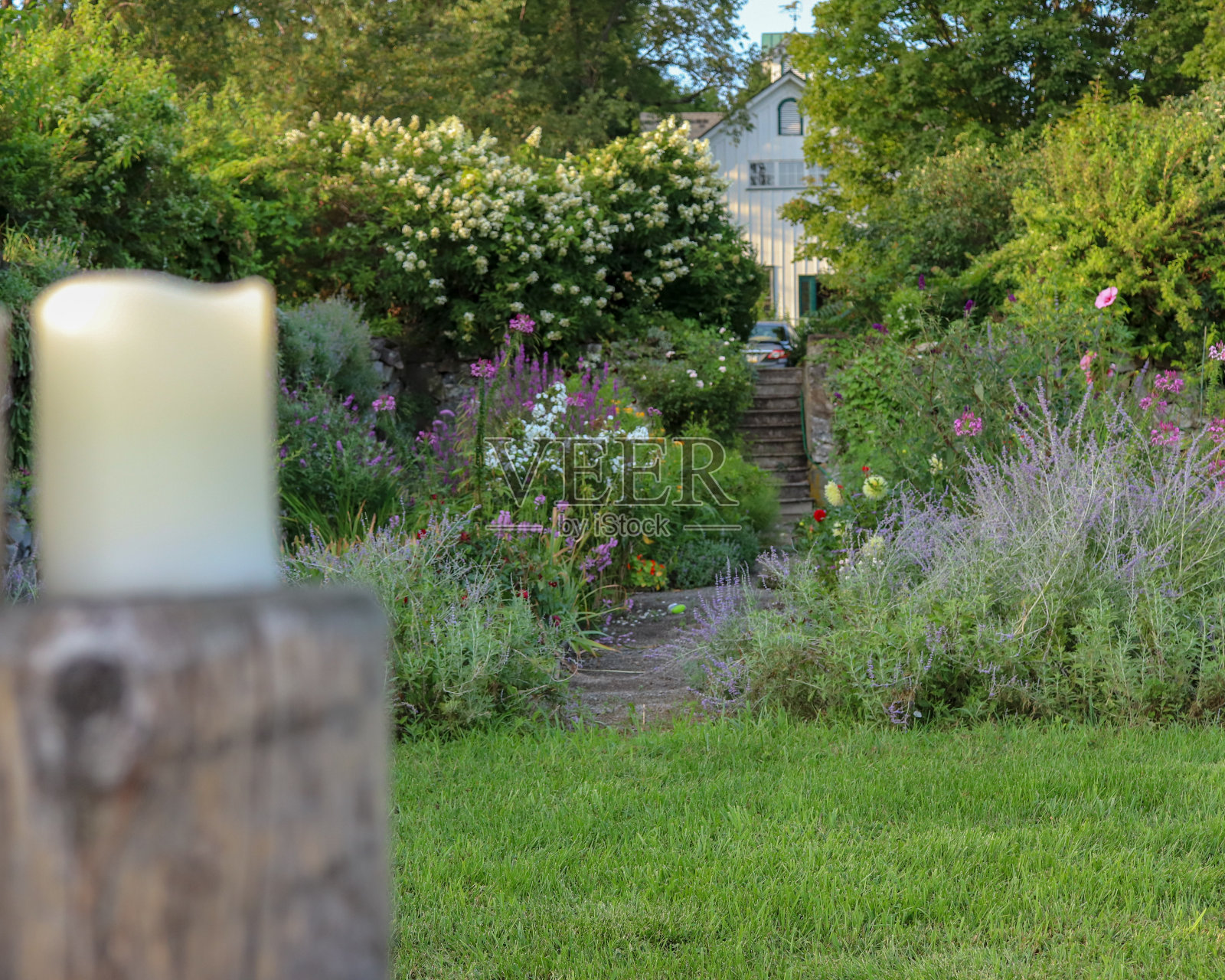 花园小径照片摄影图片