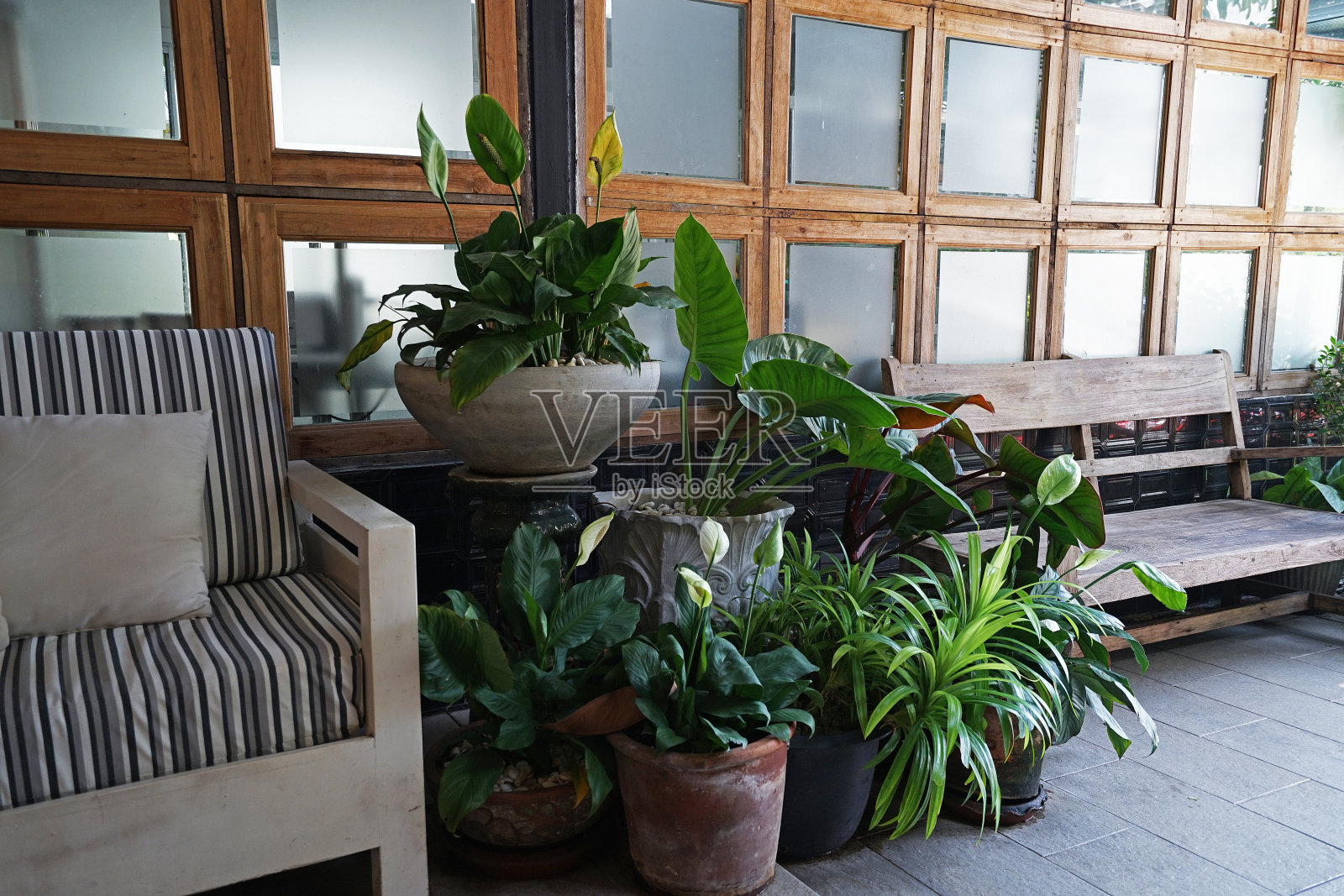 露台椅子和桌子露台装饰有室外绿色盆栽植物照片摄影图片