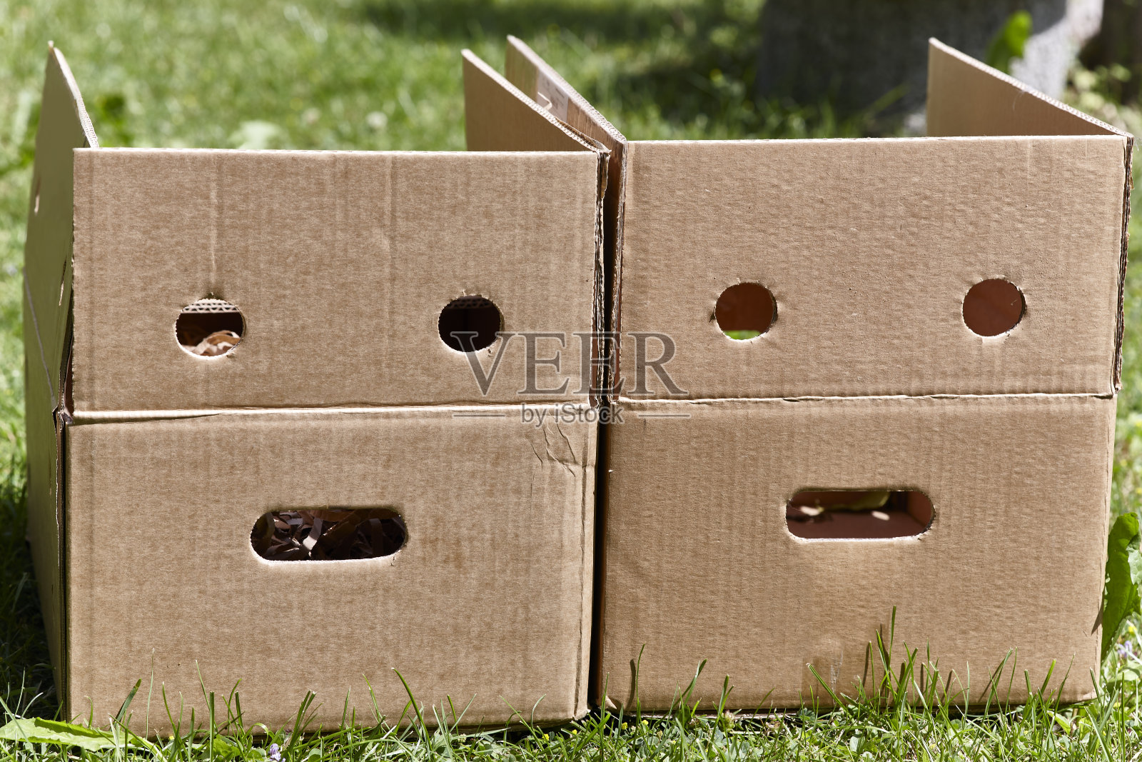 有趣的脸照片摄影图片