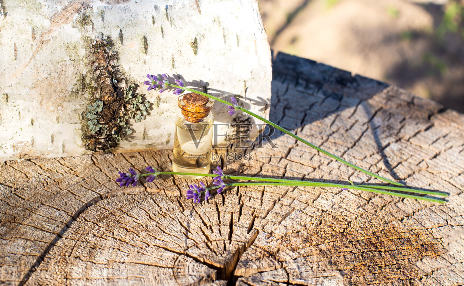 薰衣草精油在一个瓶子在木桦树的背景。草药和芳香疗法，复制空间照片摄影图片