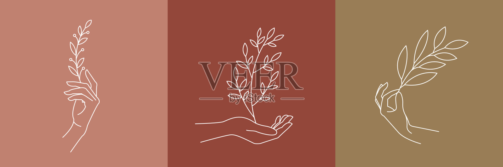 手握叶片，标志模板，线条艺术风格。完美的化妆品护肤产品品牌设计。插画图片素材