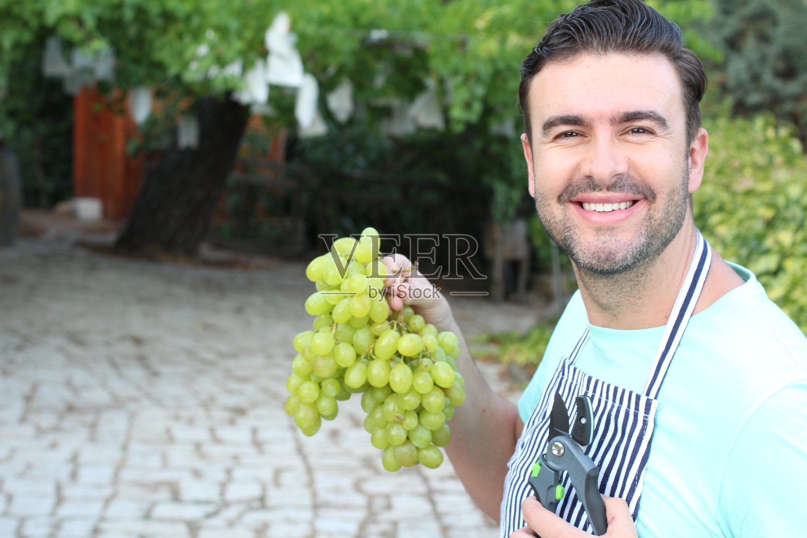 年轻人捡起一些葡萄照片摄影图片