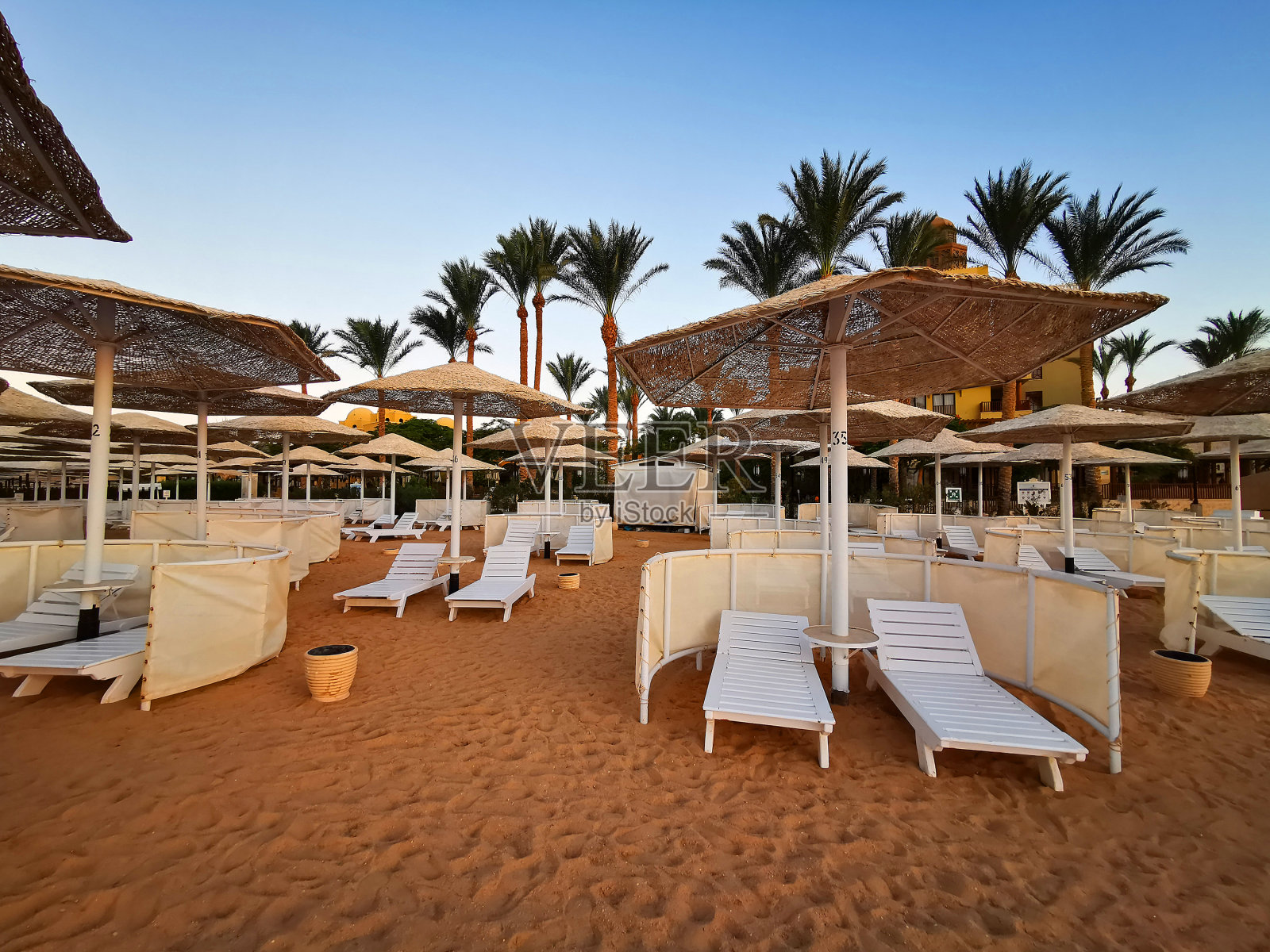 埃及海滩照片摄影图片