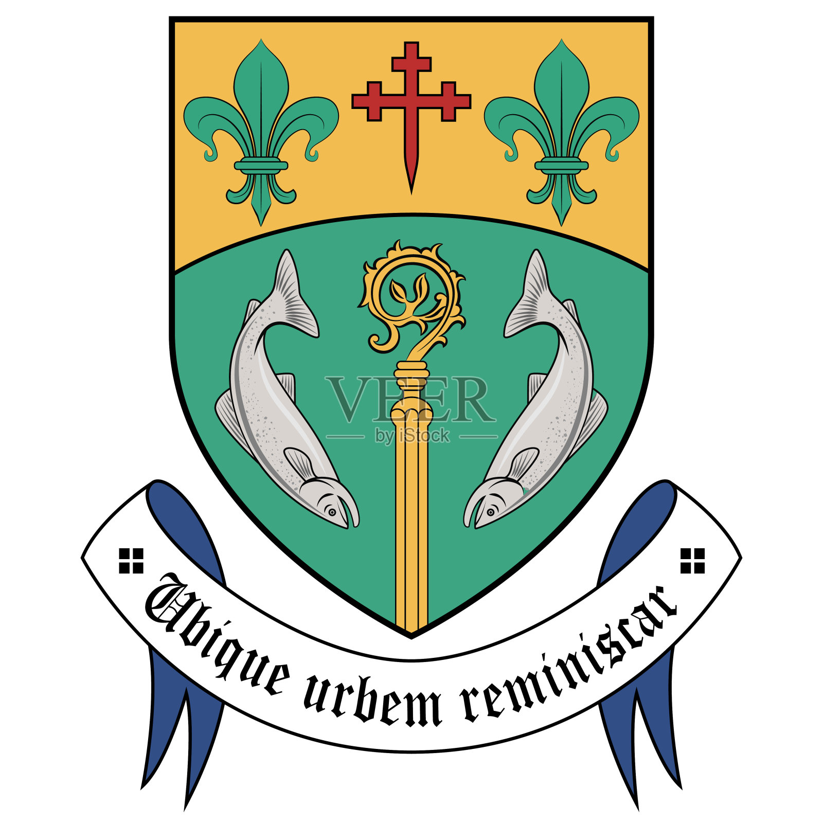 爱尔兰莱特肯尼市盾形纹章插画图片素材
