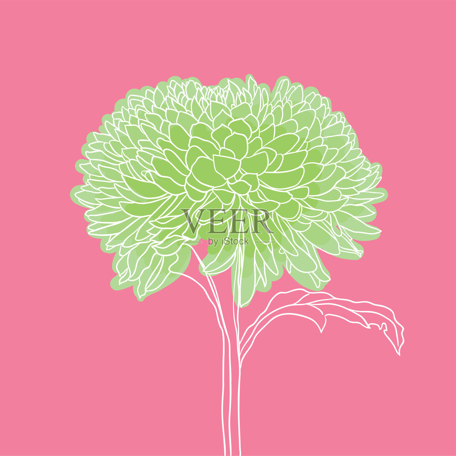 美丽盛开的花插画图片素材