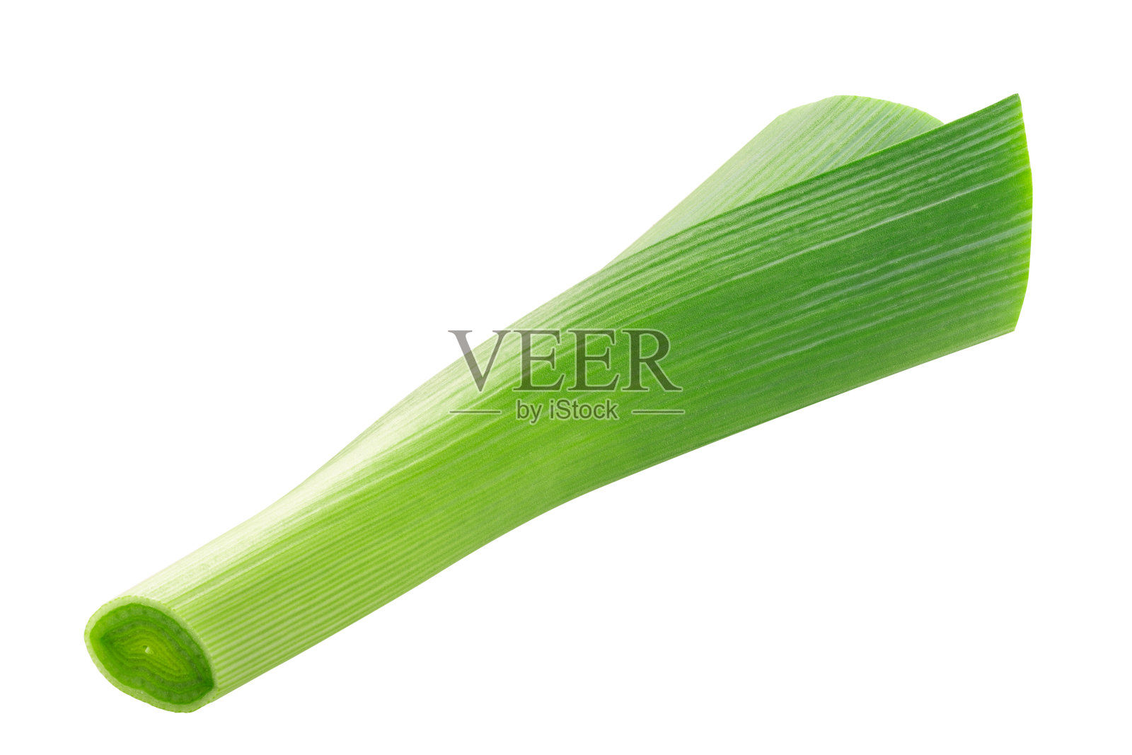 韭菜，春葱茎孤立照片摄影图片