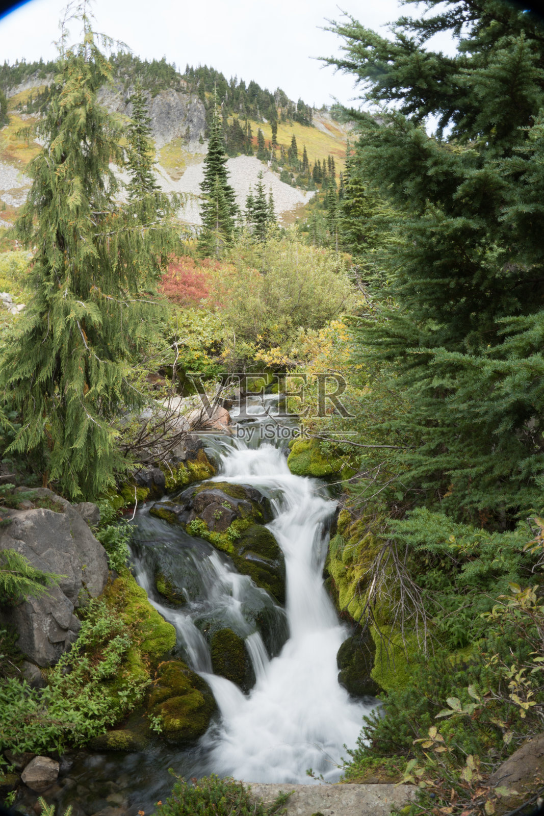 风景照片与山，树，湖，山谷，雷尼尔山照片摄影图片