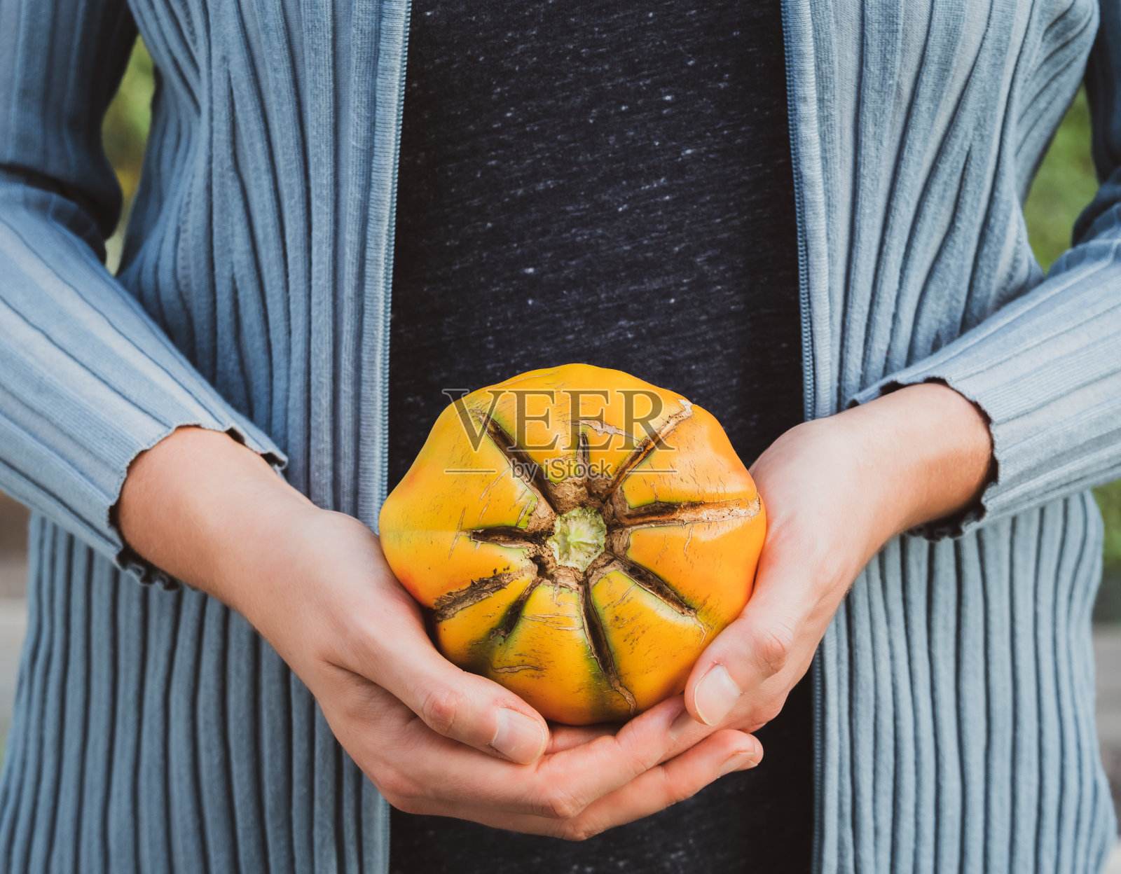 花园里的阳光照片摄影图片