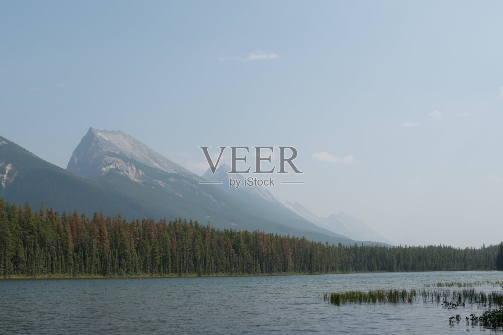 黄石间歇泉，温泉，夏天照片摄影图片