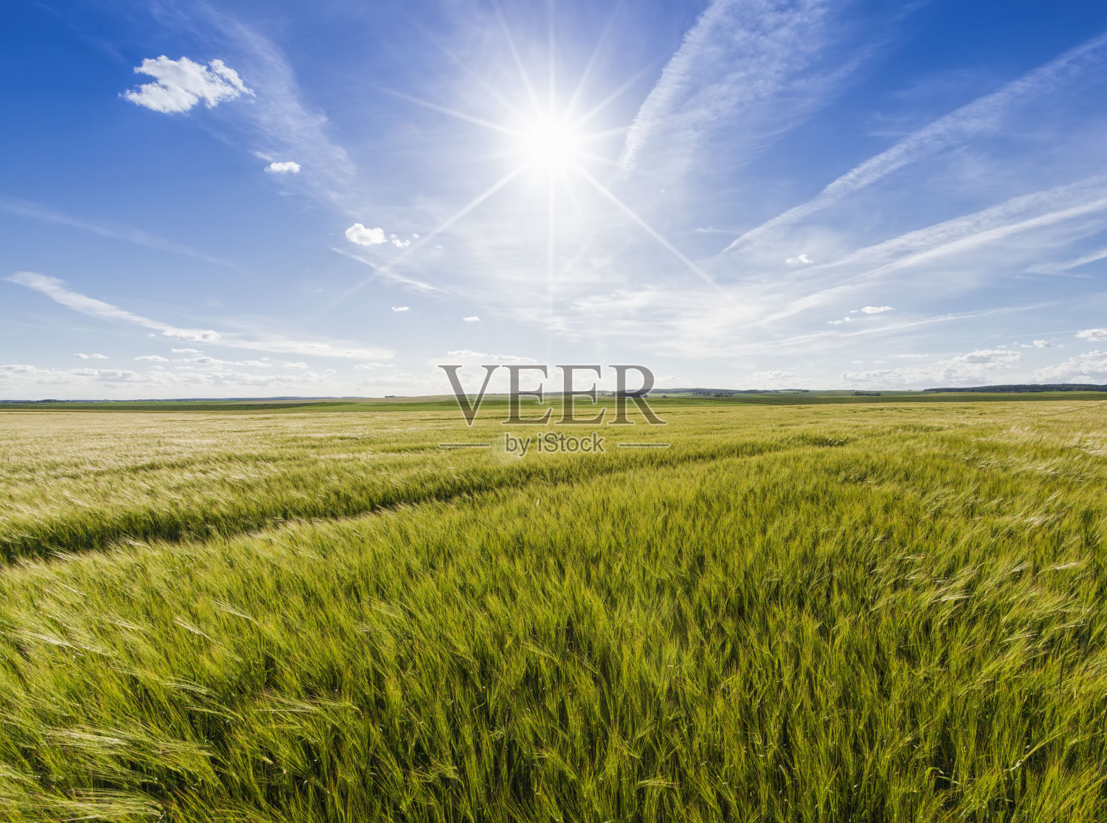 一个农业领域照片摄影图片